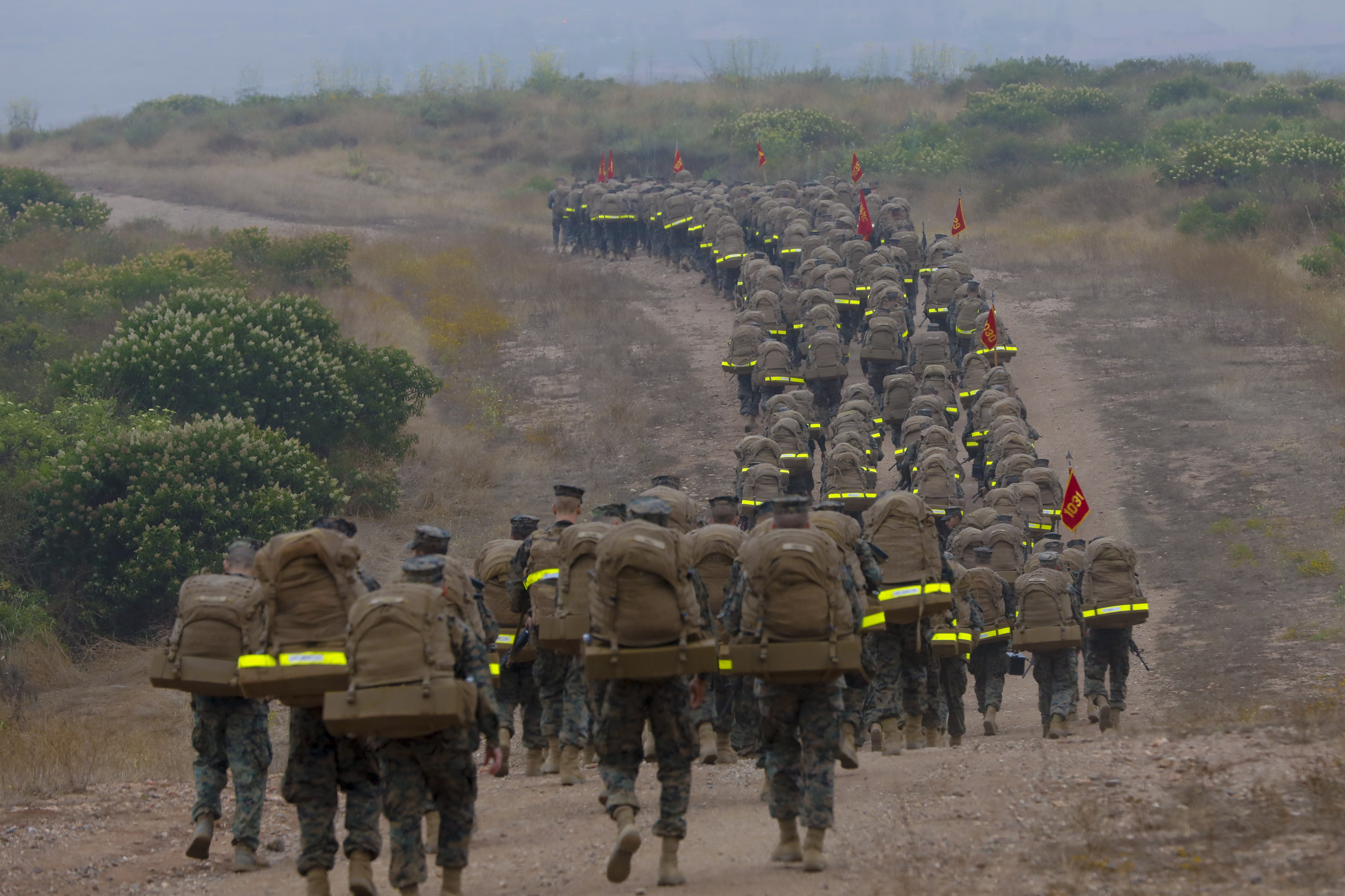 Marine recruit dies after collapsing at Camp Pendleton - Vimarsana News