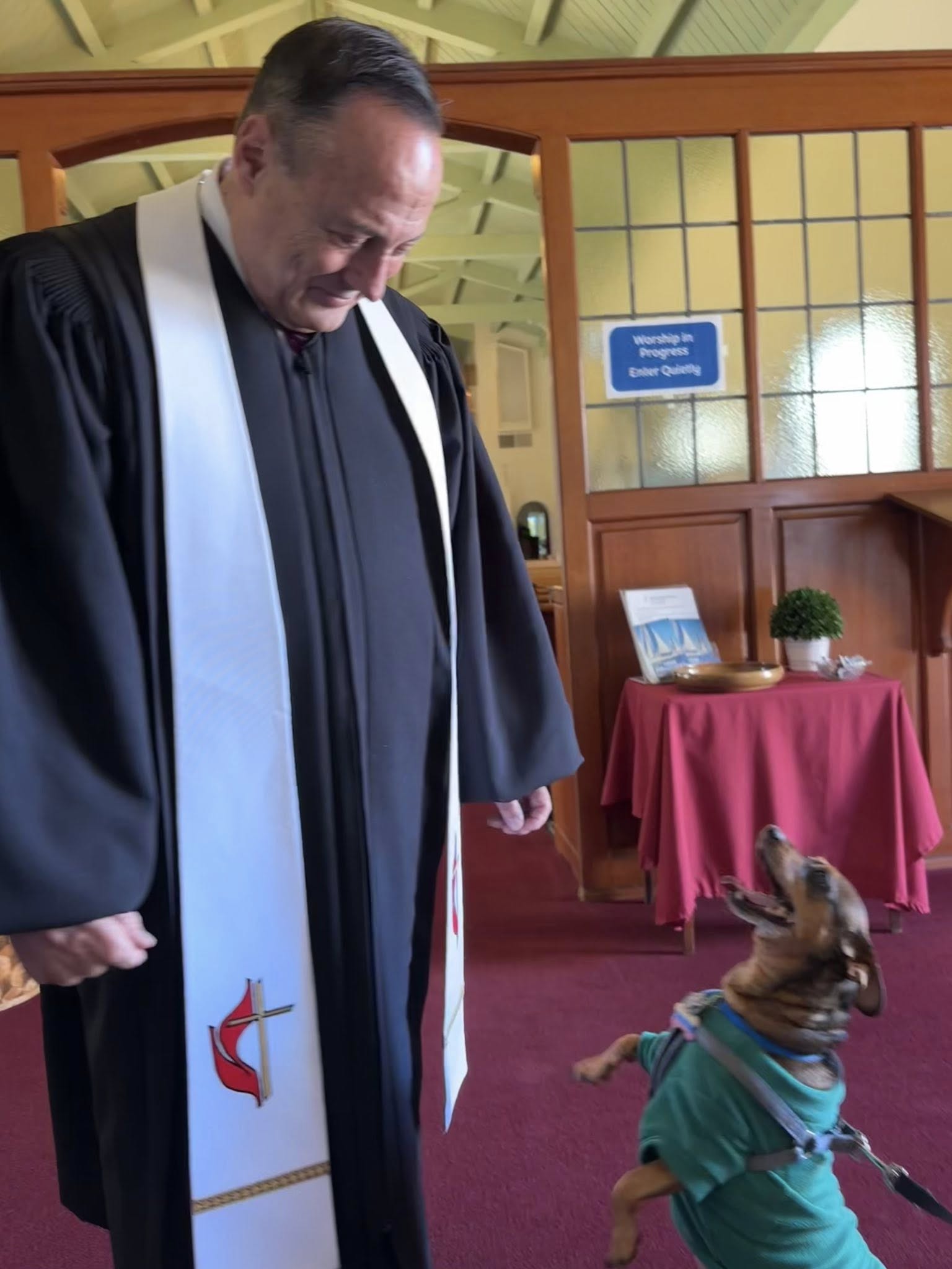 Pastor Perspective : The astonishing affection given by dogs