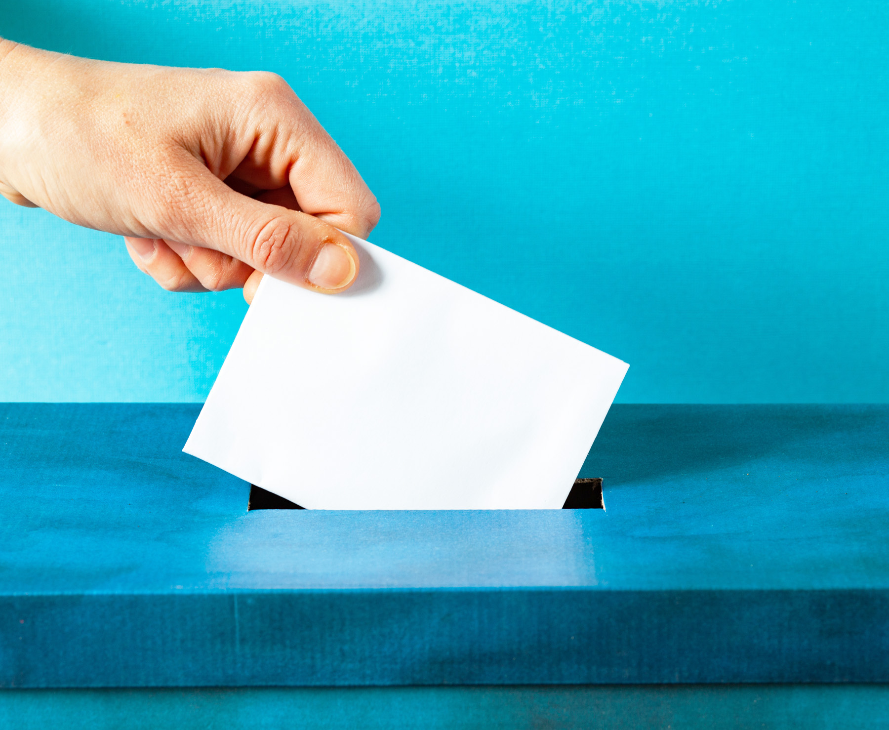 District D residents to vote in Rancho Bernardo Community Council election - Vimarsana News