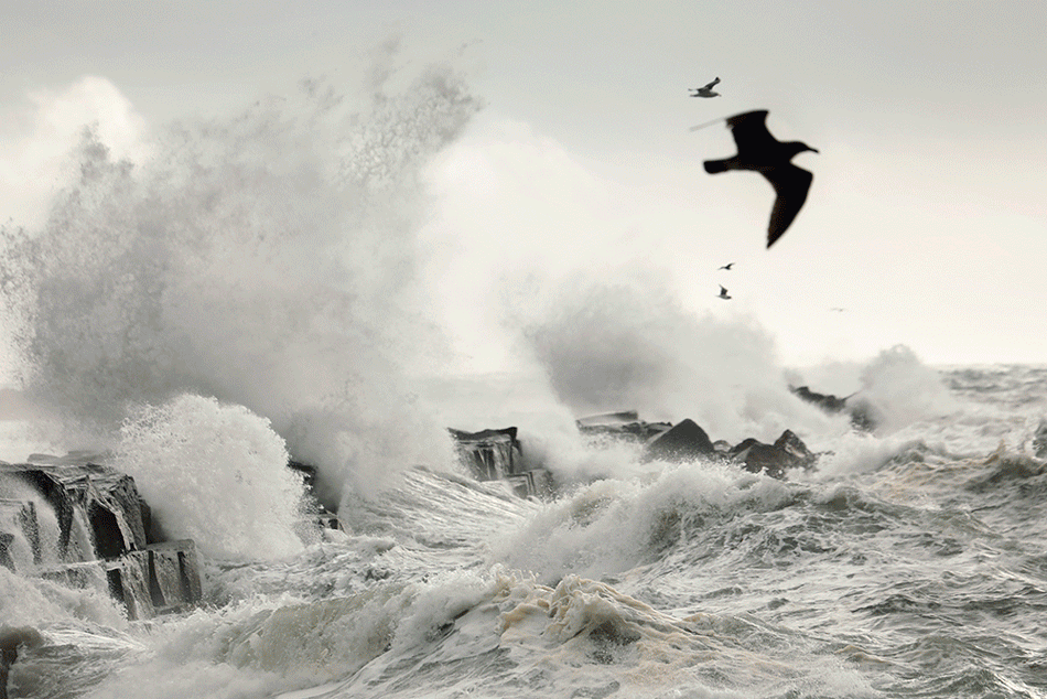 'Storm of the season' delivers rain, snow and wind to SoCal - Vimarsana News