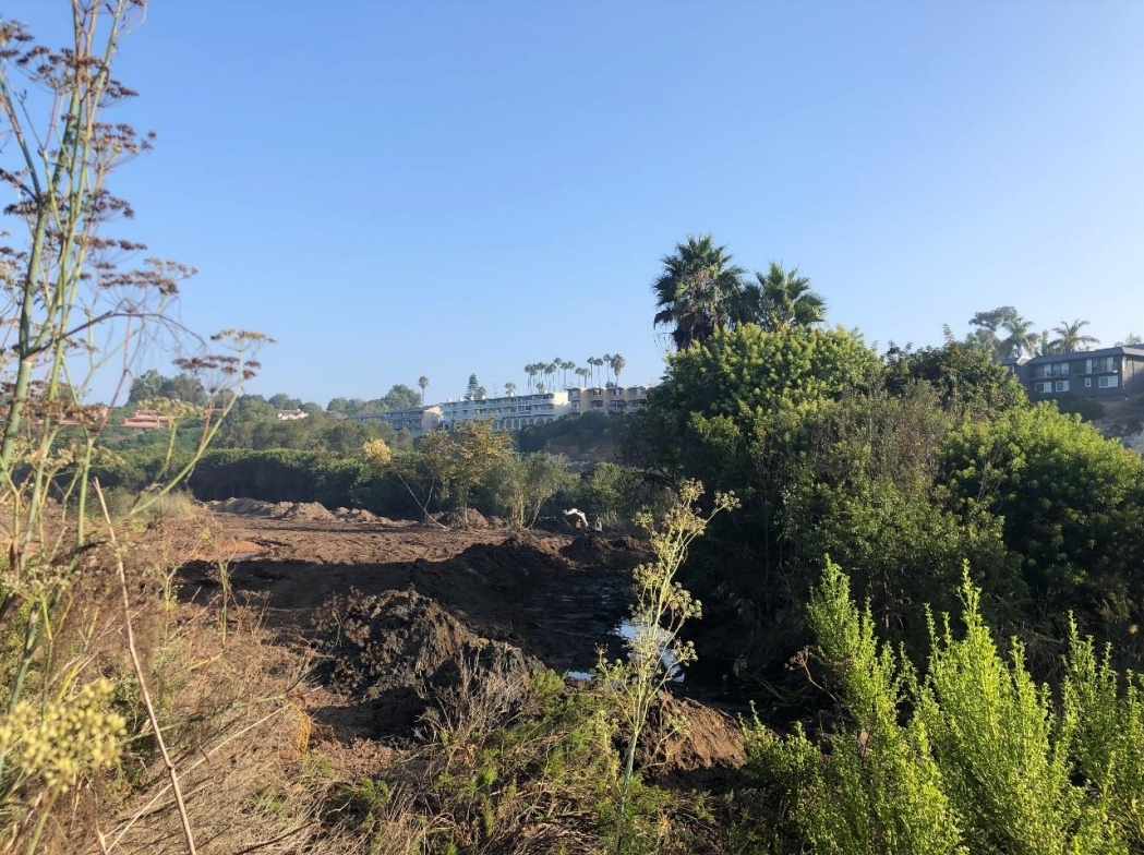Newport Beach, Newport Bay Conservancy look ahead to Big Canyon restoration project - Vimarsana News