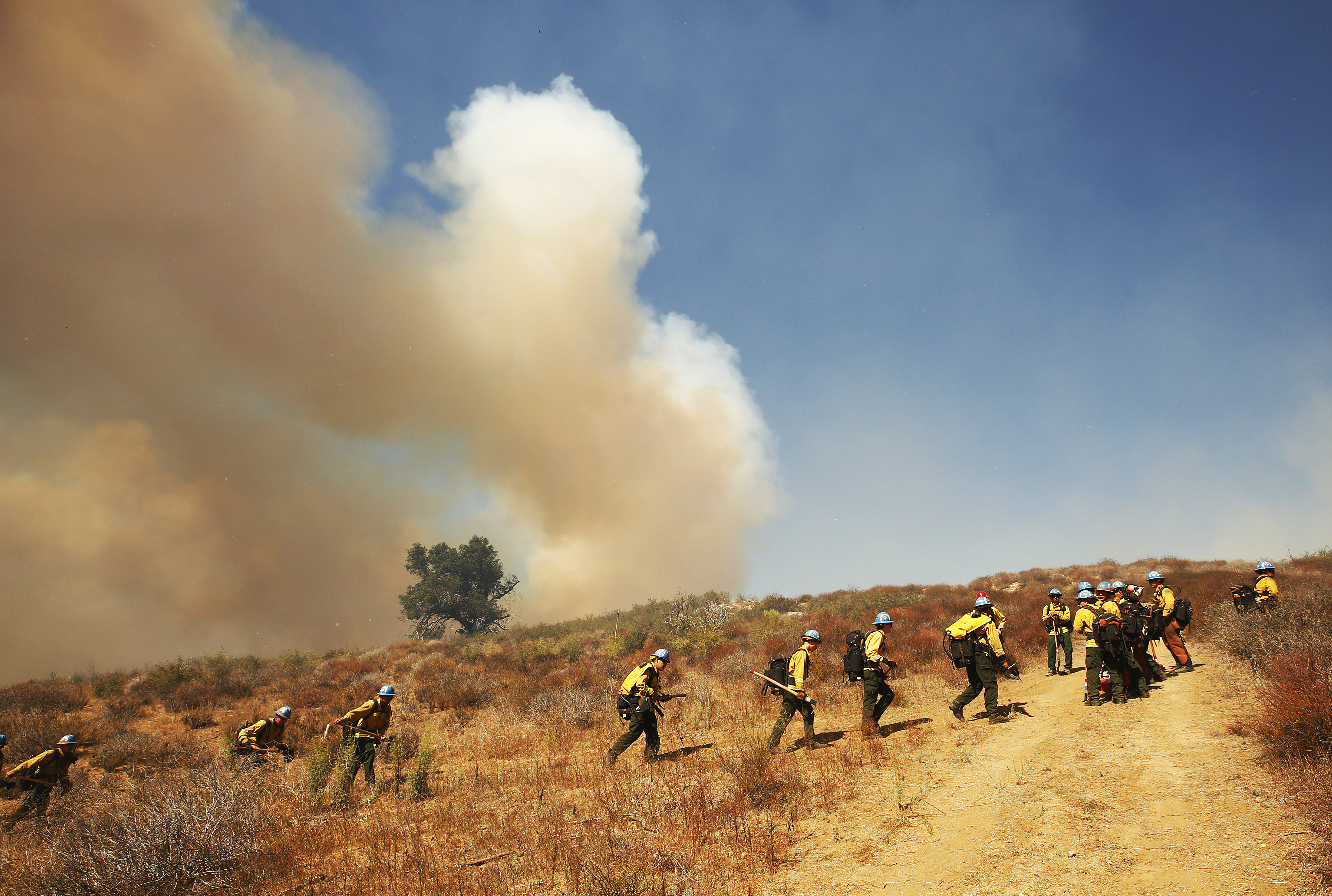 Reagan ranch near Santa Barbara threatened by Alisal fire - Vimarsana News