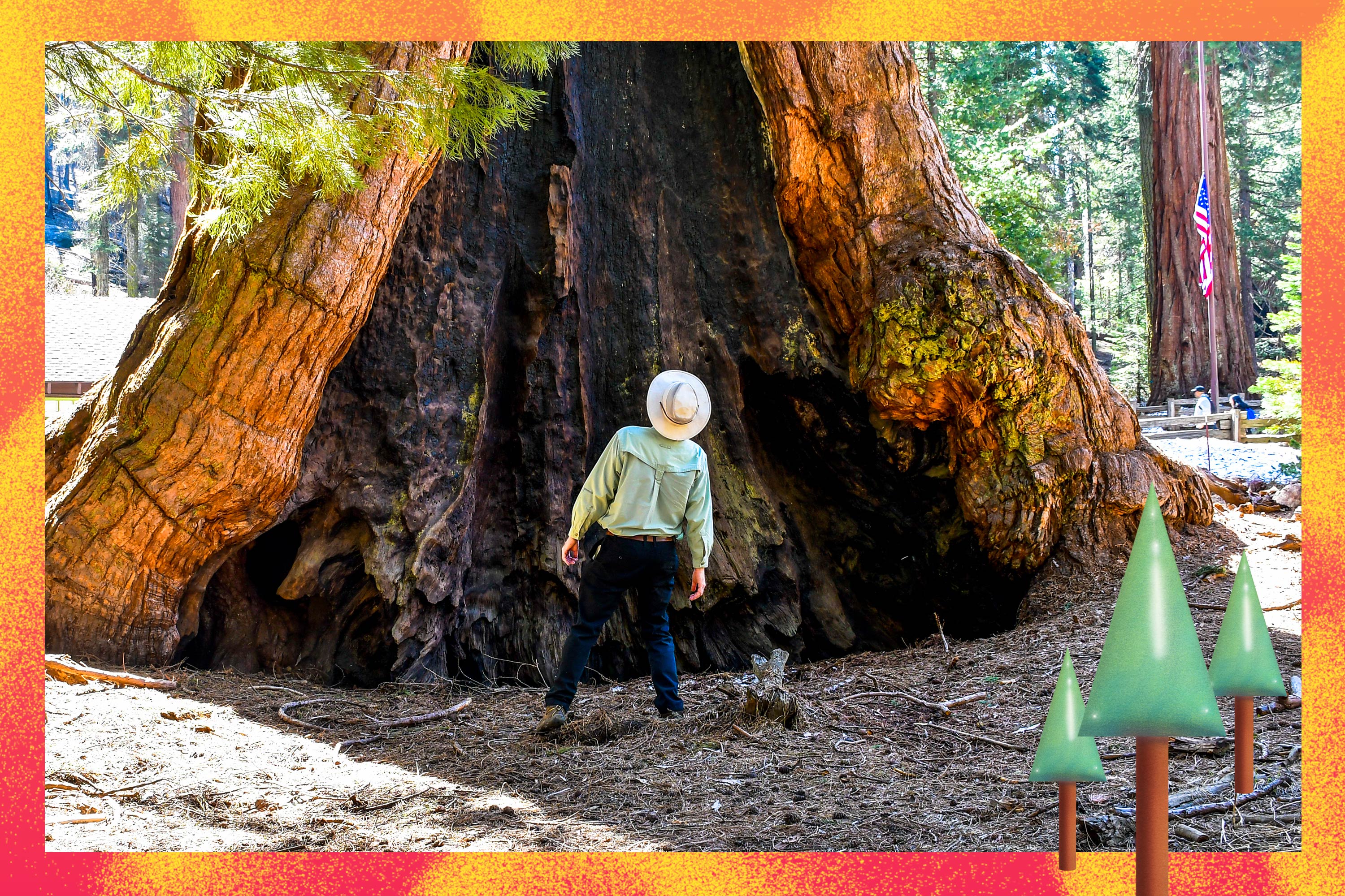 A travel reporter found 101 best things to do in California - Vimarsana News