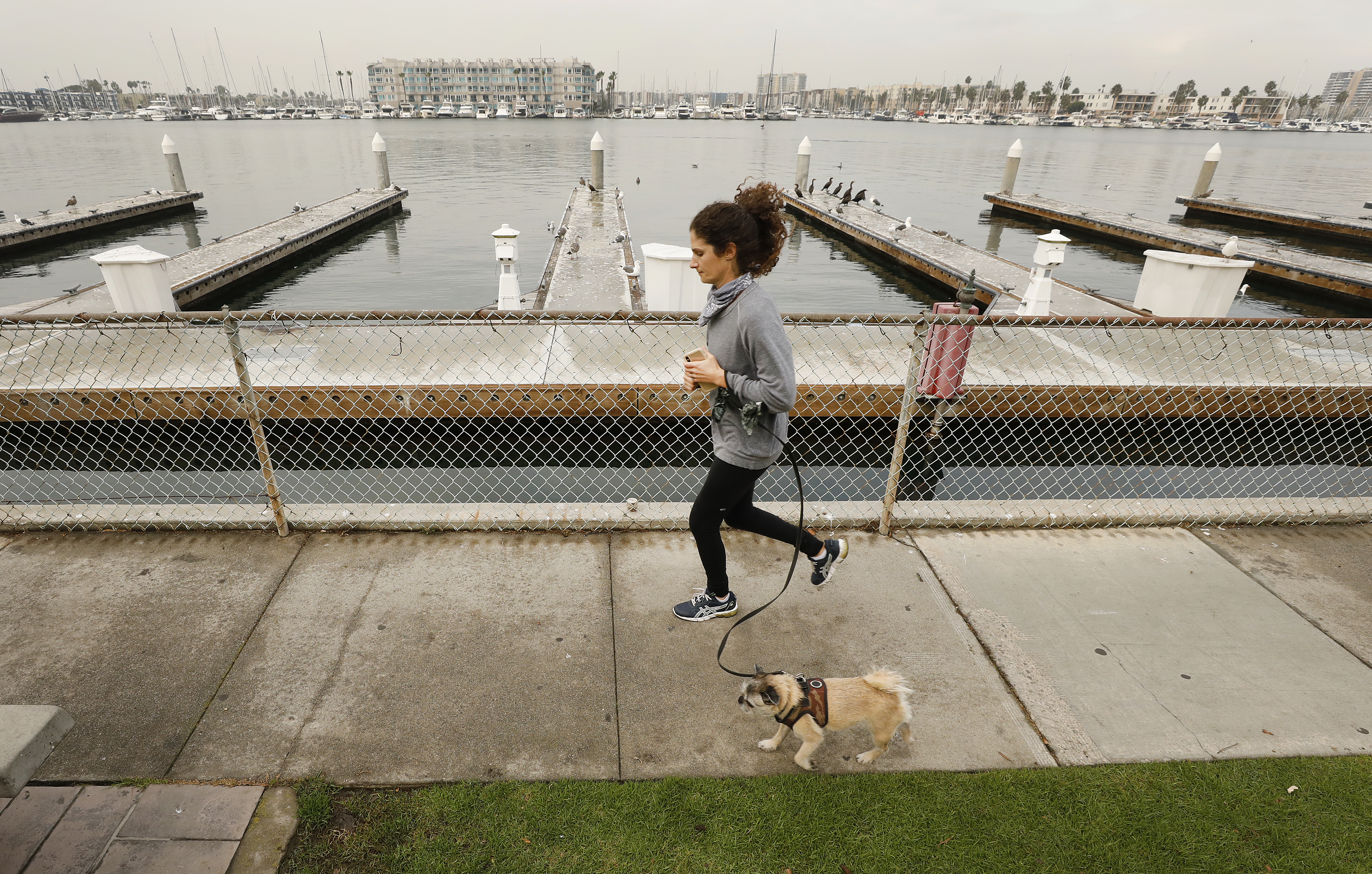 Heavy rain is forecast for California early next week - Vimarsana News