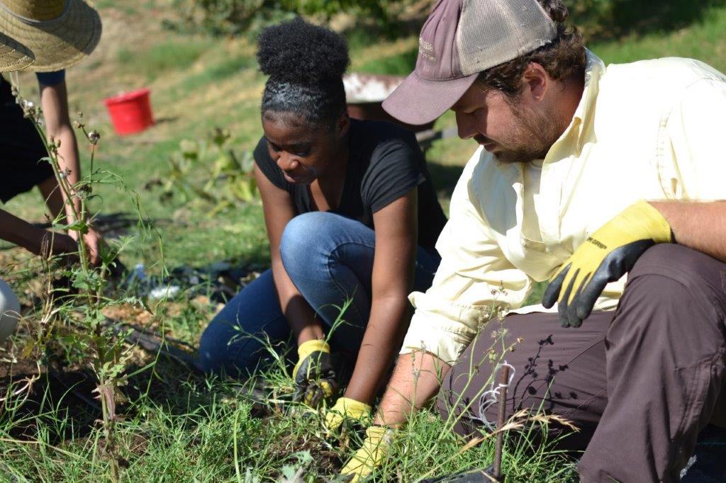'I've learned so much': These teen gardeners are learning leadership running a farmstand - Vimarsana News