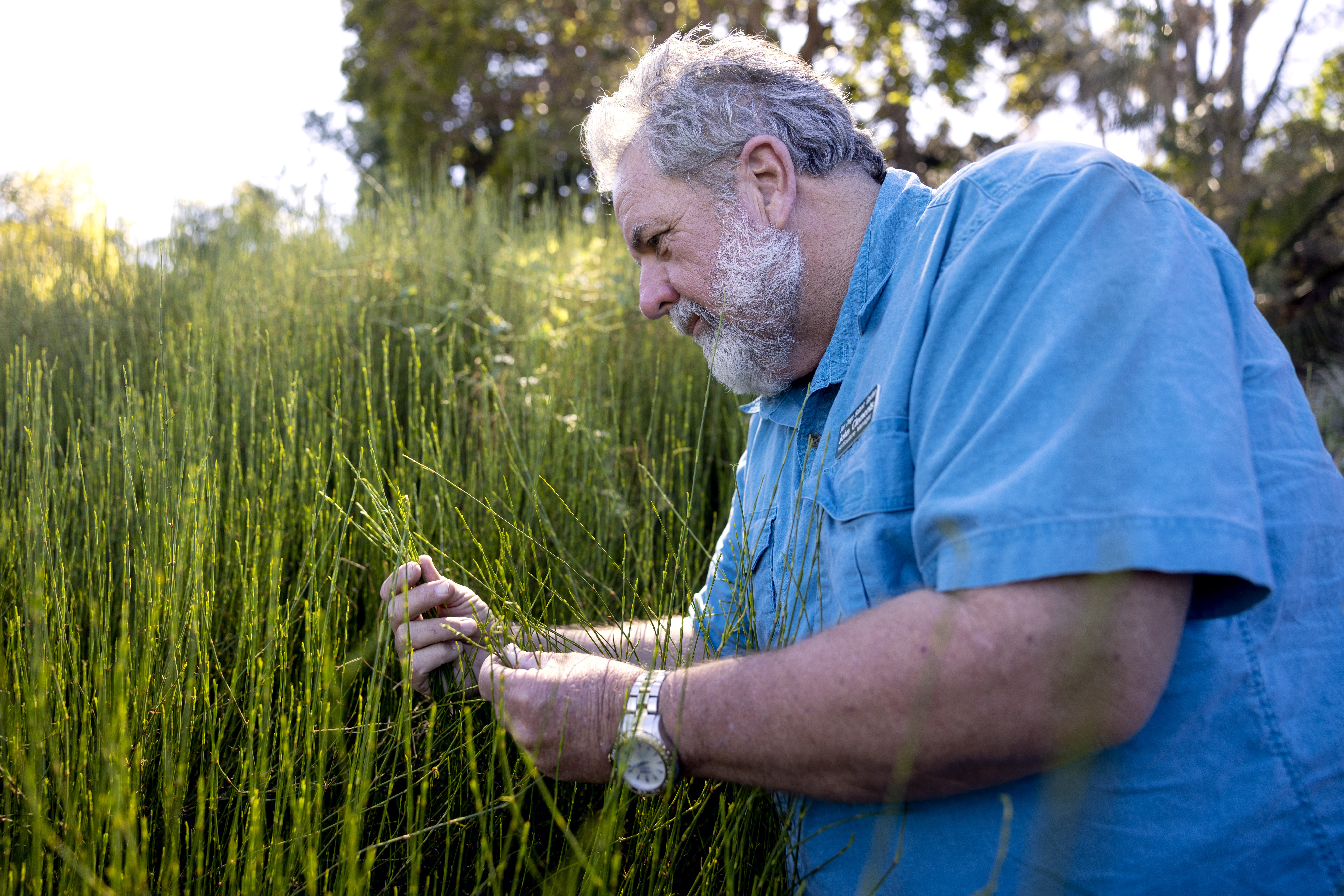 A living laboratory: San Diego Botanic Garden embarks on a new scientific journey - Vimarsana News