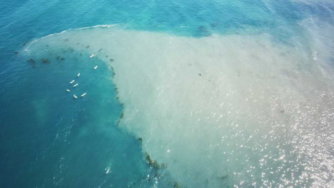 Murky mystery: Cloudy water off La Jolla Shores raises questions but is thought to be 'natural' - Vimarsana News