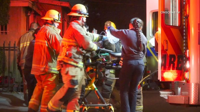 Three die, two are critically injured in South L.A. fire - Vimarsana News