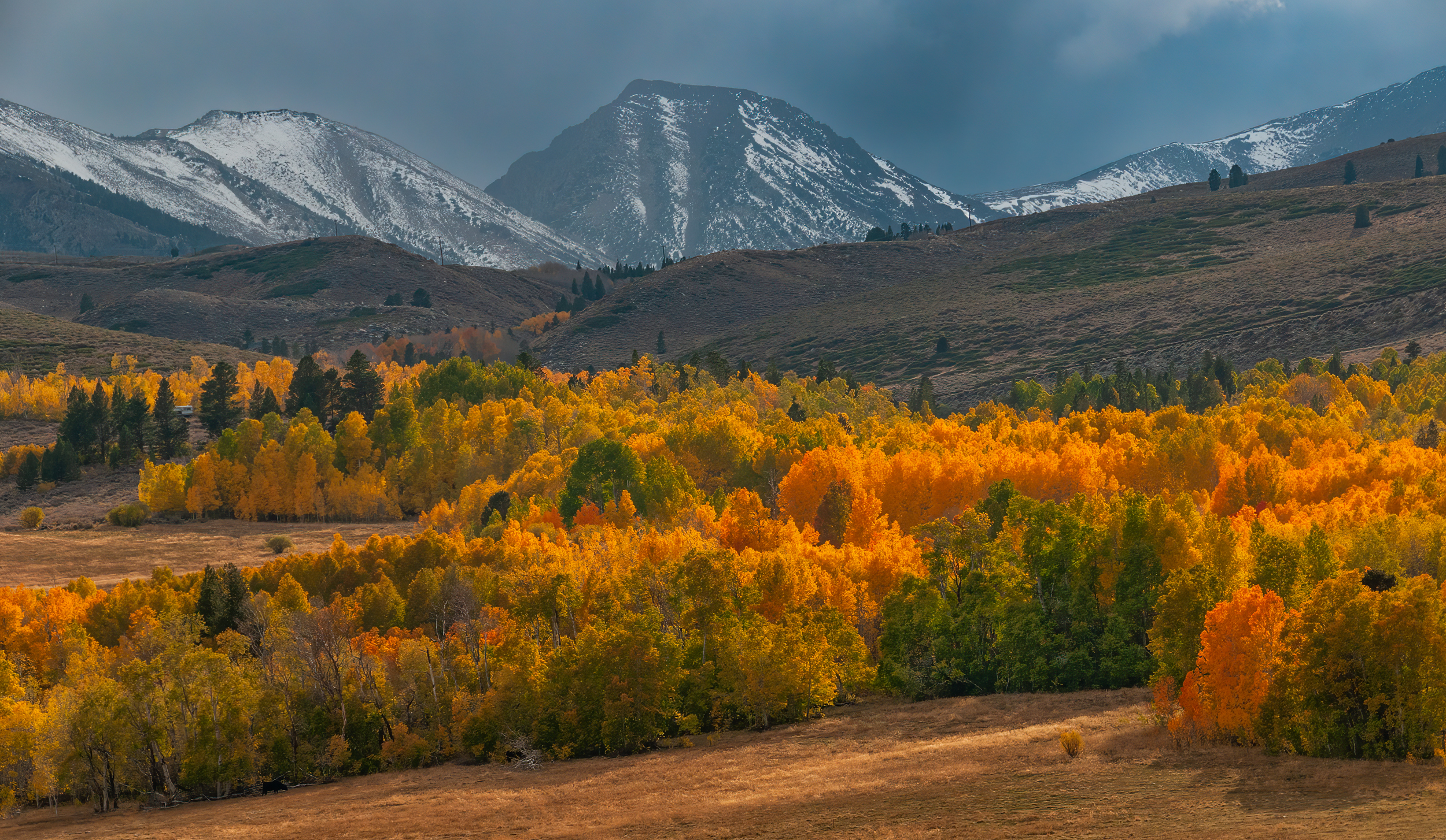 Column: Eastern Sierra's seasonal show competes with foliage in Northeast - Vimarsana News