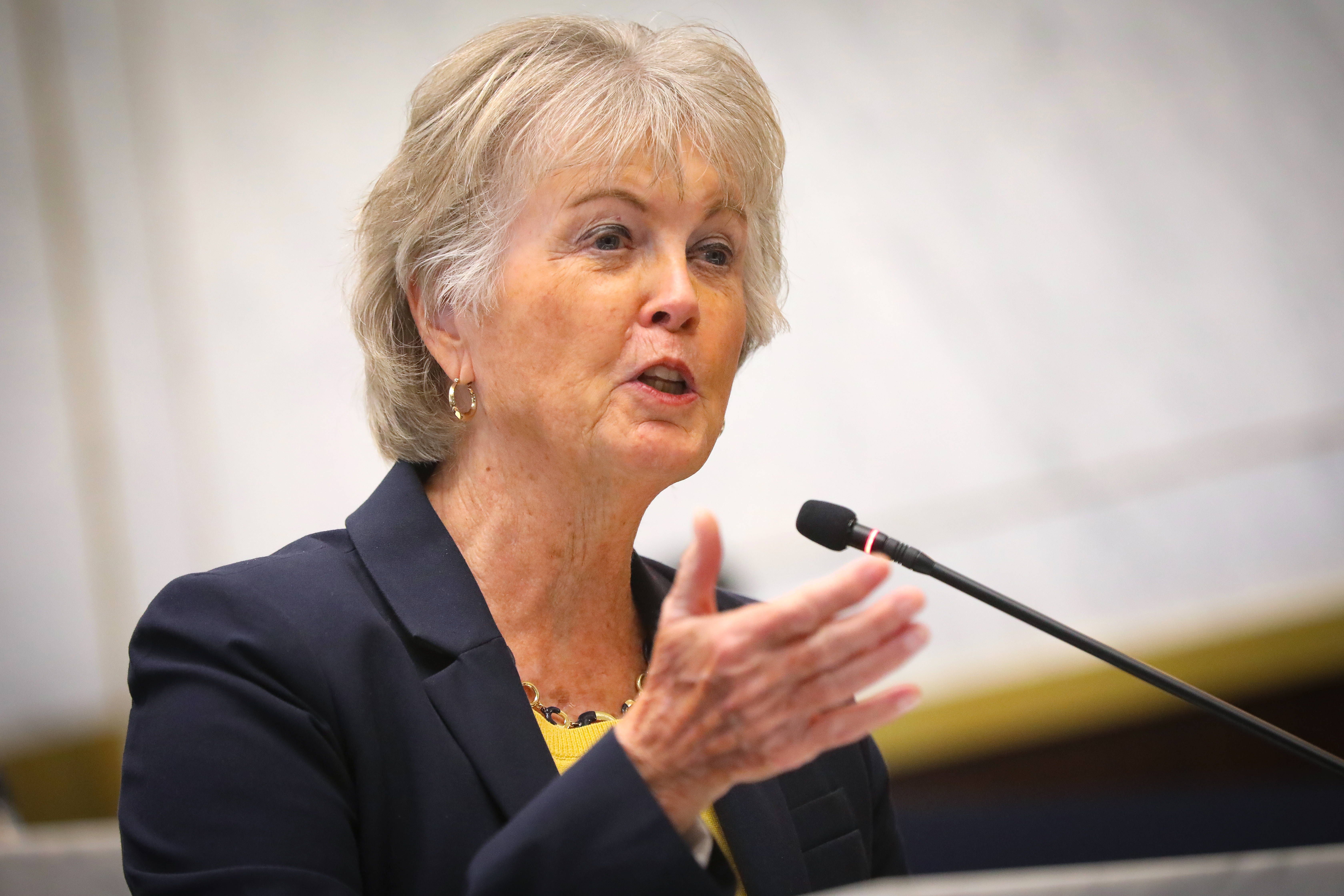 Supervisor Dianne Jacob leaves legacy of support for Alzheimer's patients, caregivers - Vimarsana News