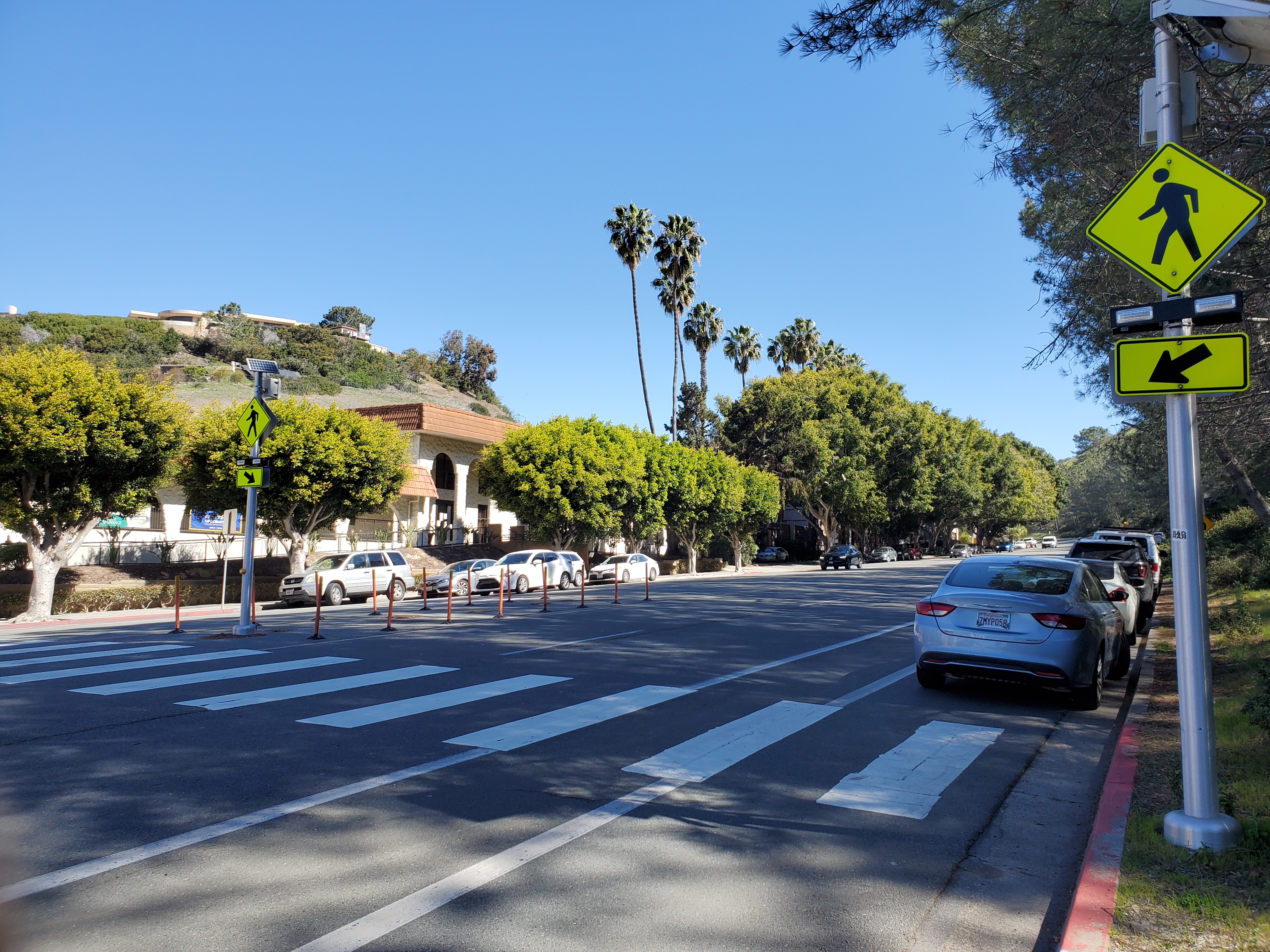Pedestrian's death prompts another look at Torrey Pines Road crossing - Vimarsana News