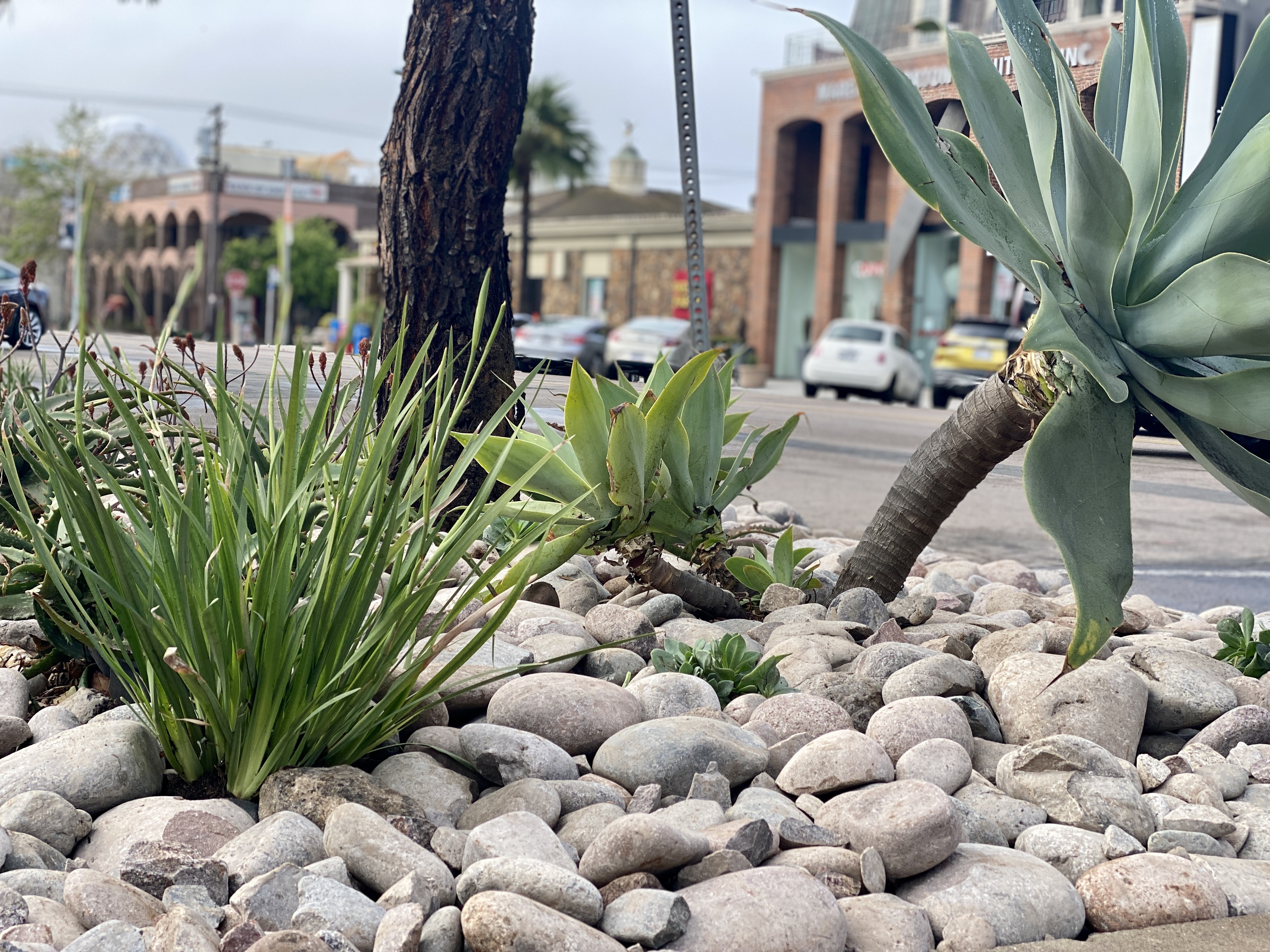 2022 Look Ahead: La Jolla leaders celebrate achievements and make plans for the new year - Vimarsana News