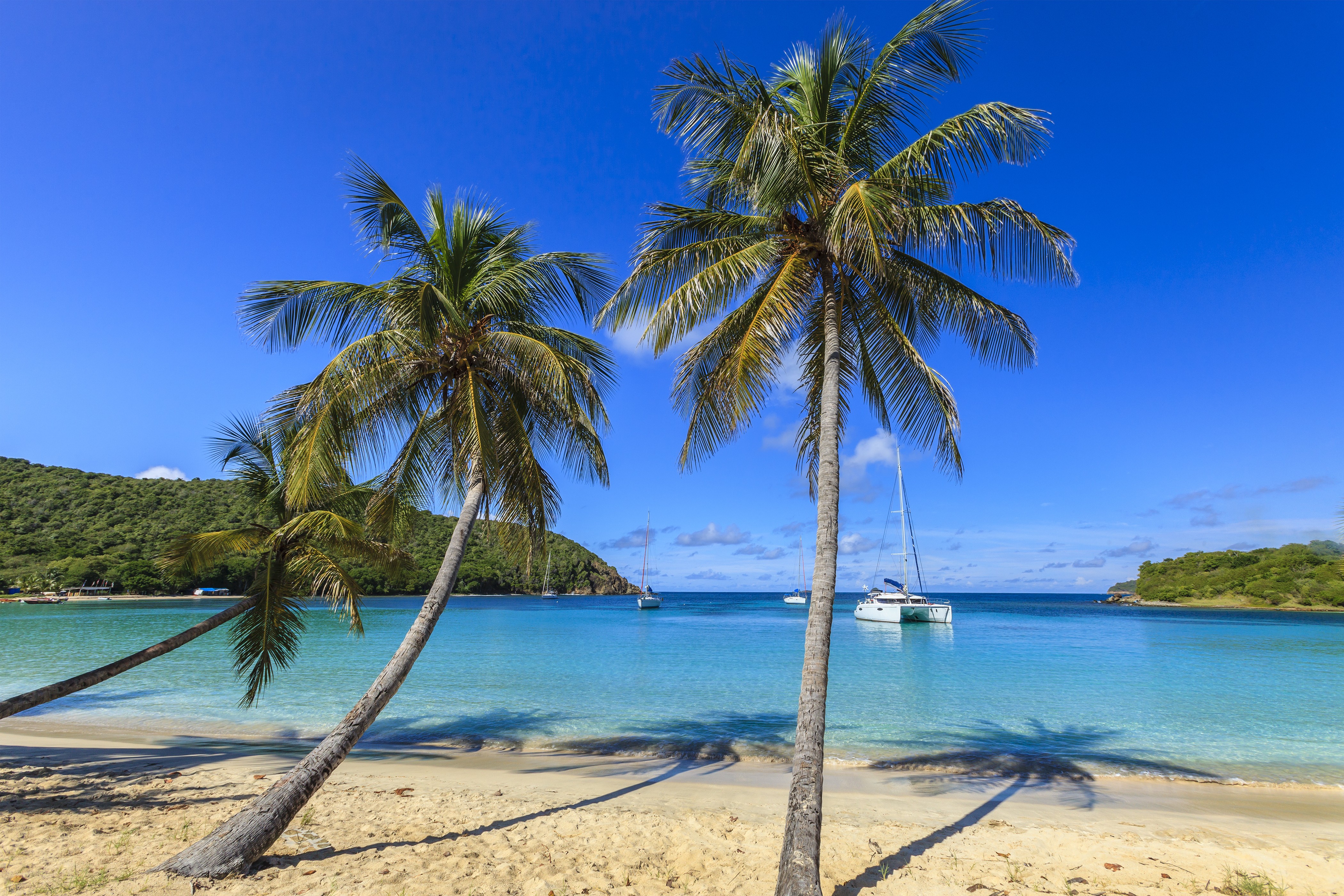 Island hopping is the way to go in the Grenadines - Vimarsana News
