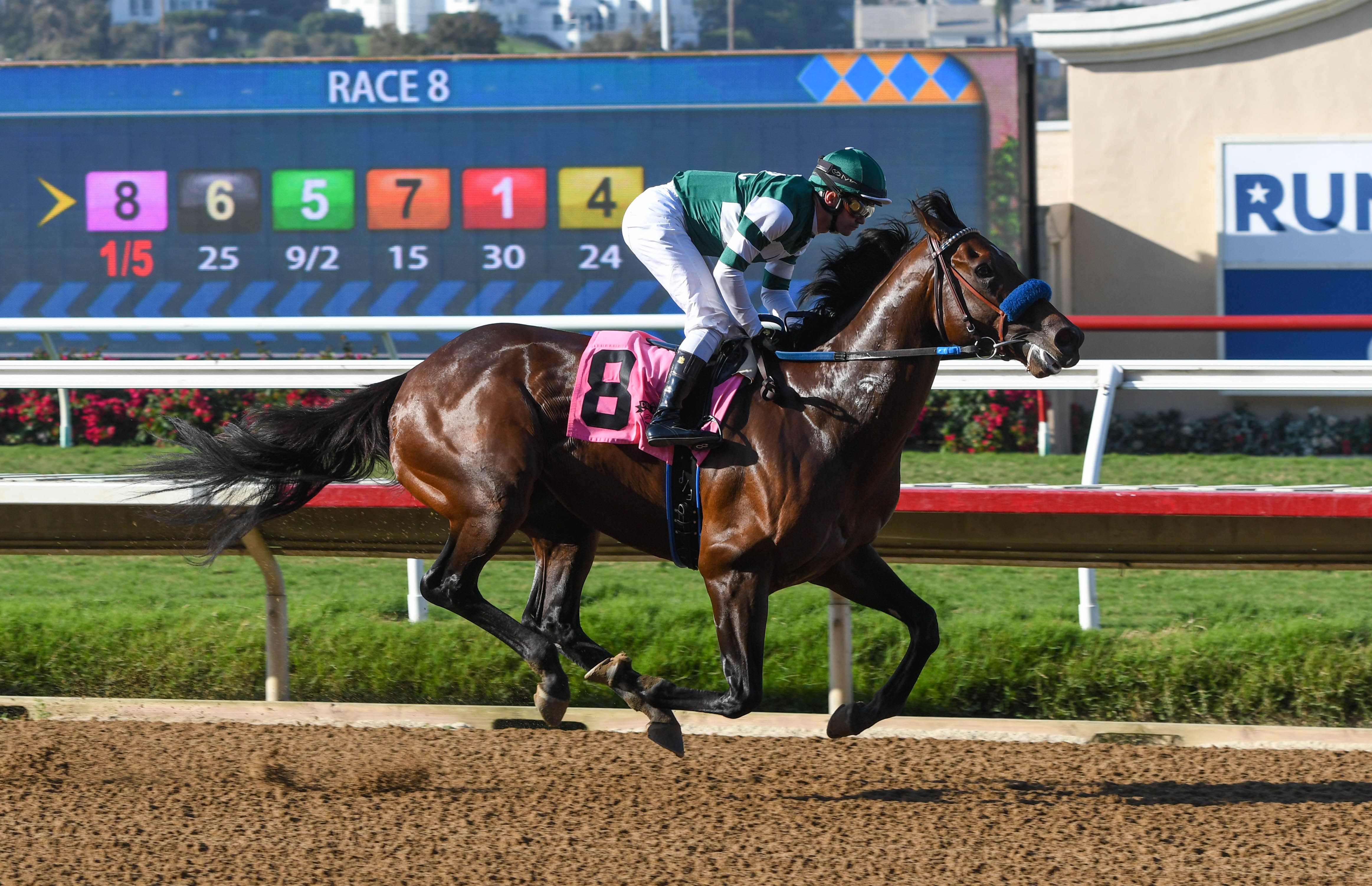 Del Mar's summer racing season returns with a wide variety of events - Vimarsana News