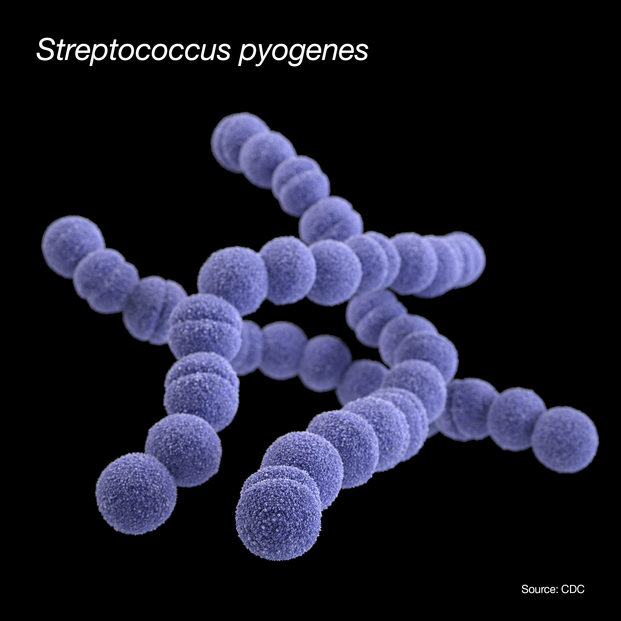 Strep infections in children that can result in 'flesh-eating' disease becoming a concern - Vimarsana News