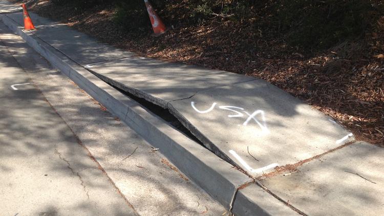 Opinion: San Diegans are balking at city's sidewalk repair proposal - Vimarsana News