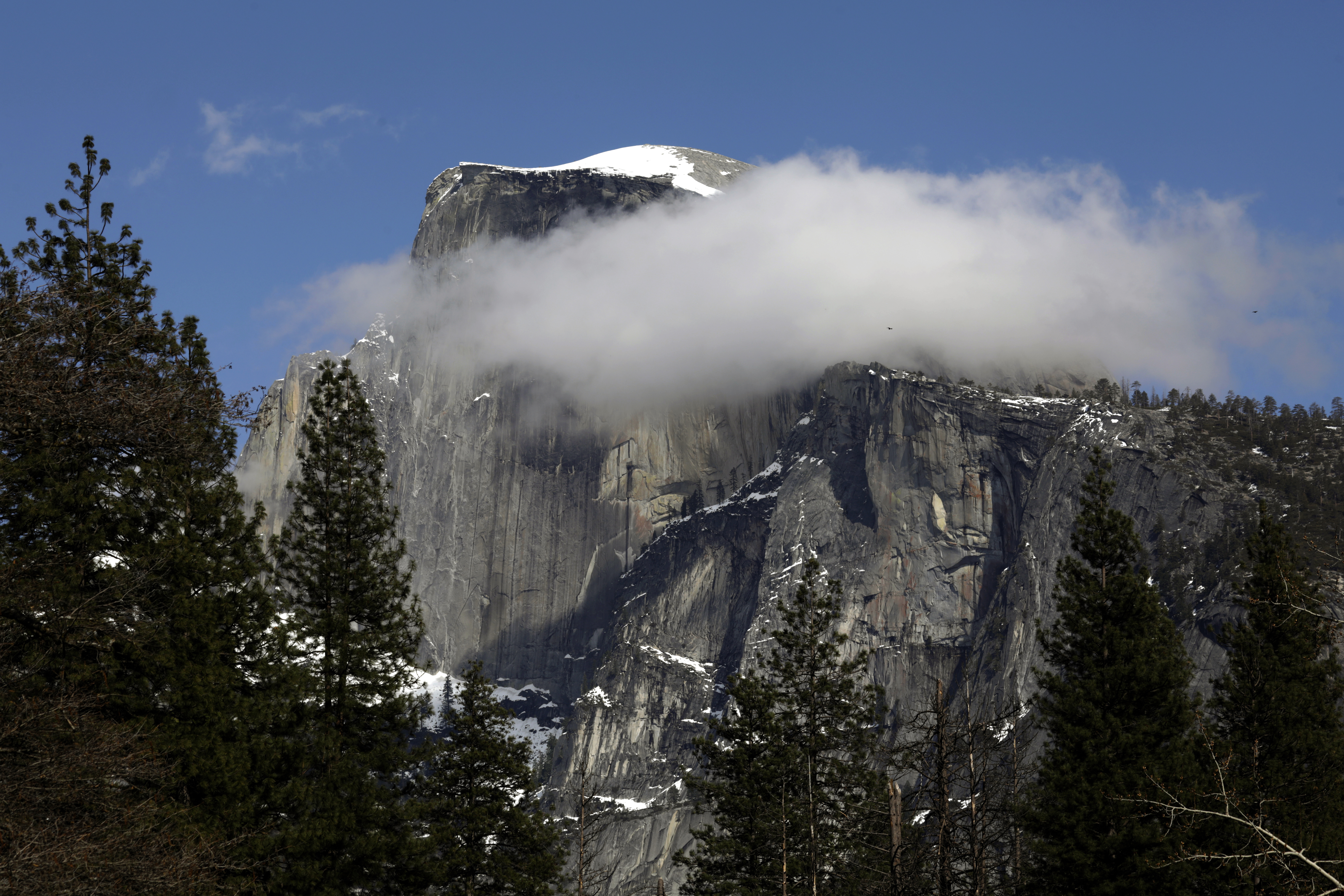 Headed to Yosemite? Here's which roads are open and closed - The San Diego Union-Tribune - Vimarsana News