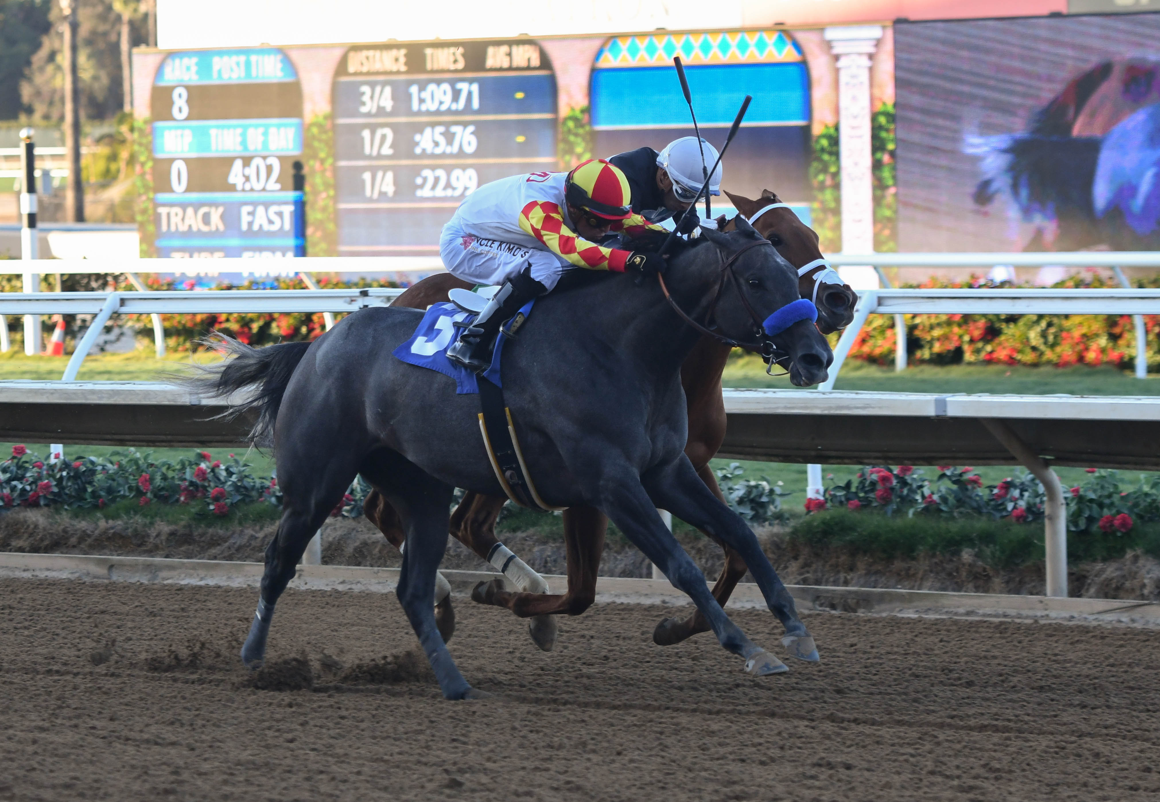 Fun to Dream wins Betty Grable Stakes at Bing Crosby meet opening weekend - Vimarsana News