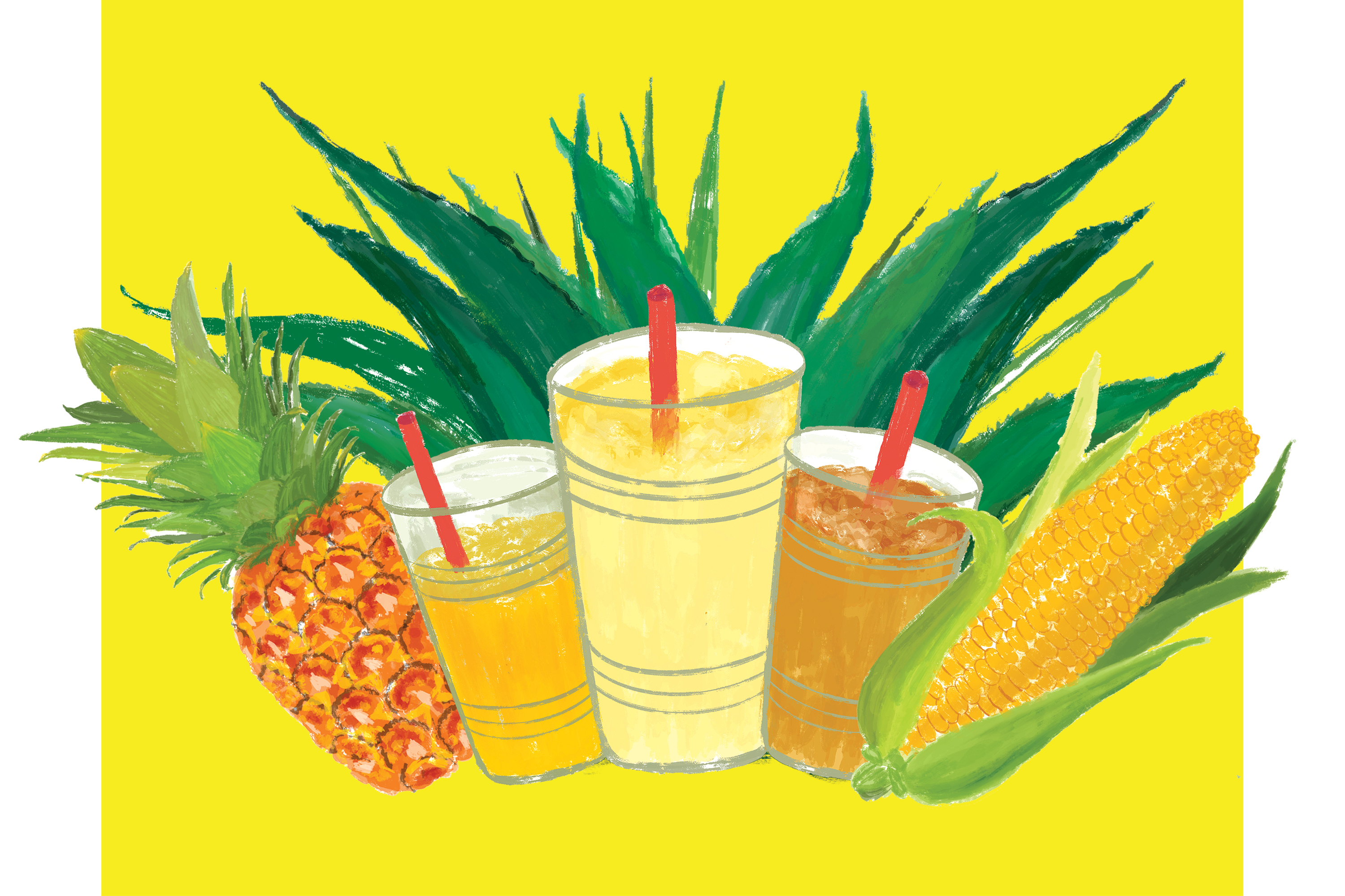 I went searching for Mexican fermented drinks in L.A. Here's what to look for — and avoid - Vimarsana News