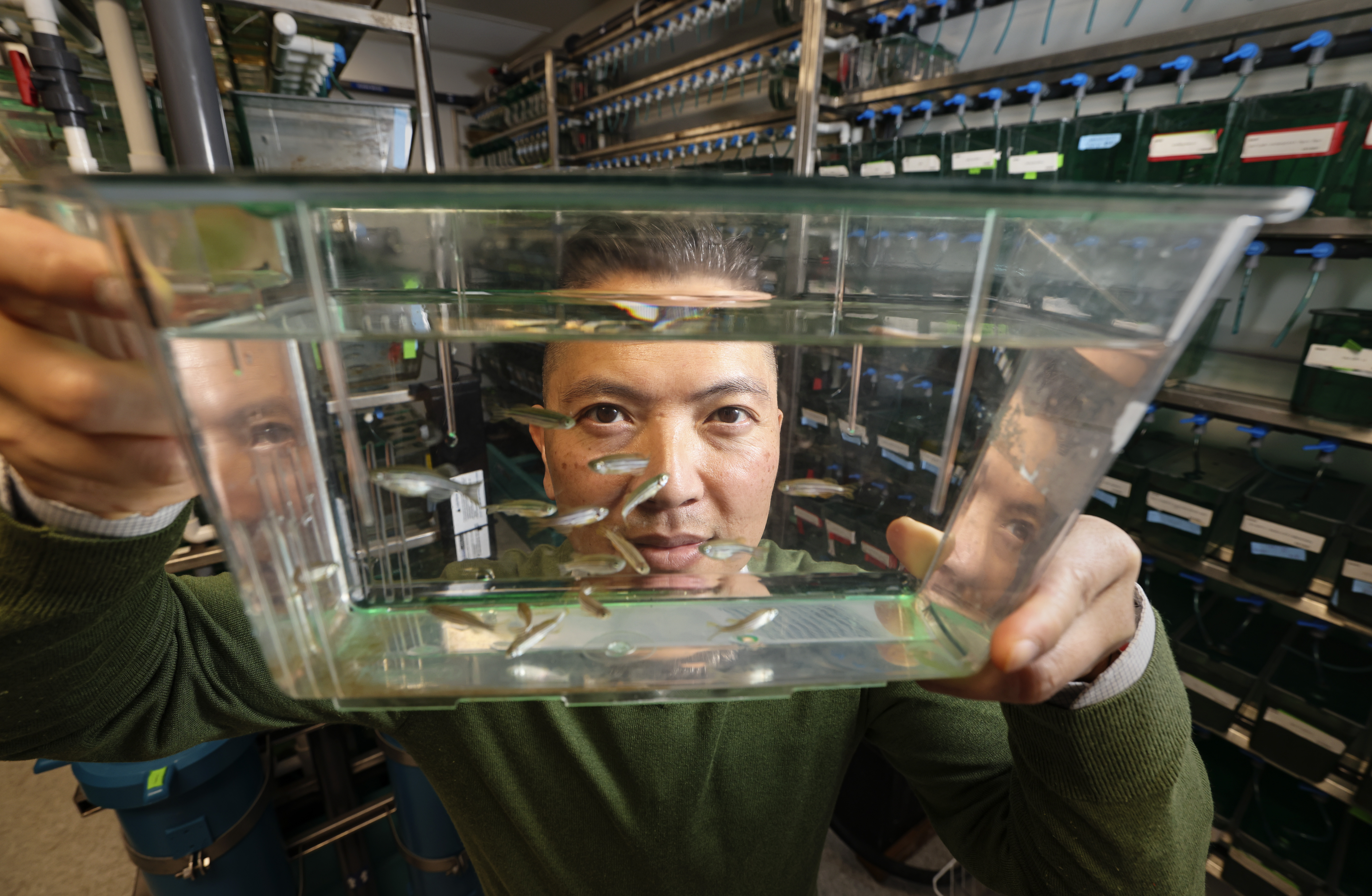 From zebrafish to bacteria, La Jolla scientists' novel ideas have received a spark from area charity - Vimarsana News