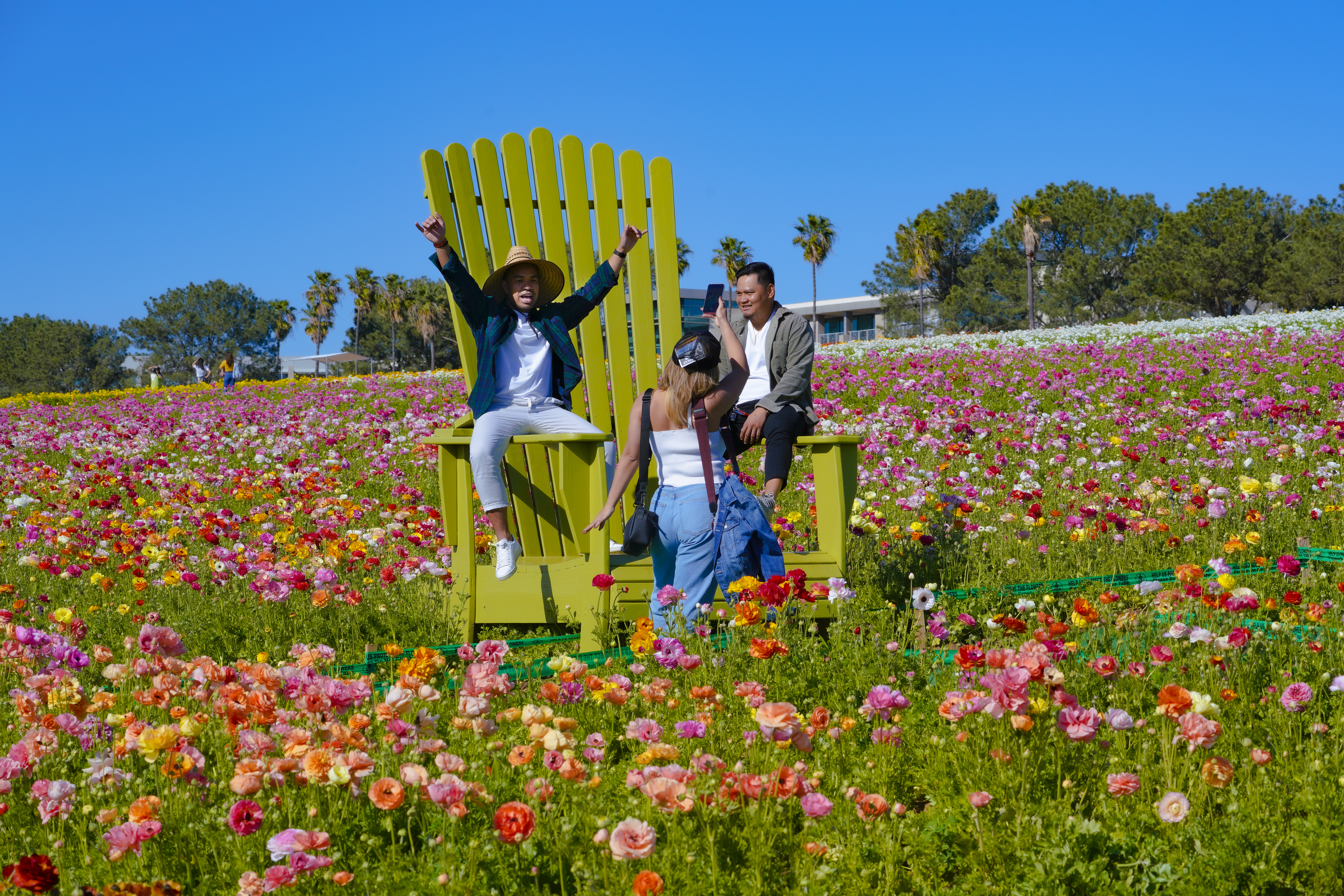 The best things to do this weekend in San Diego: March 2-5 - Vimarsana News