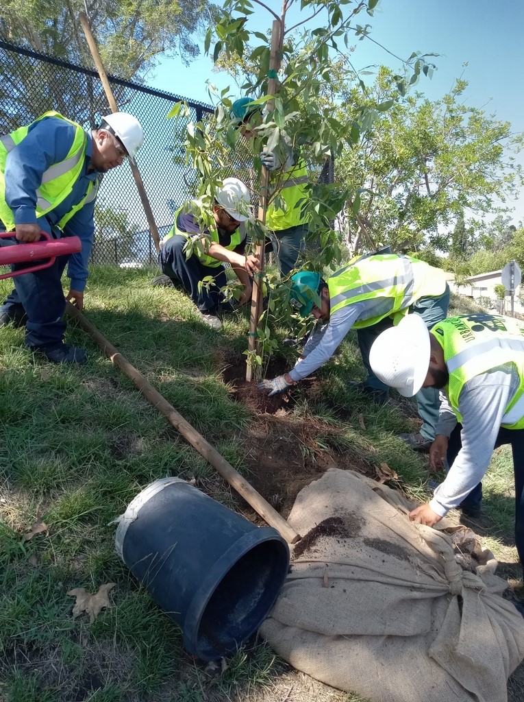 Urban Corps, city and Tree San Diego host community tree planting in Vista - Vimarsana News
