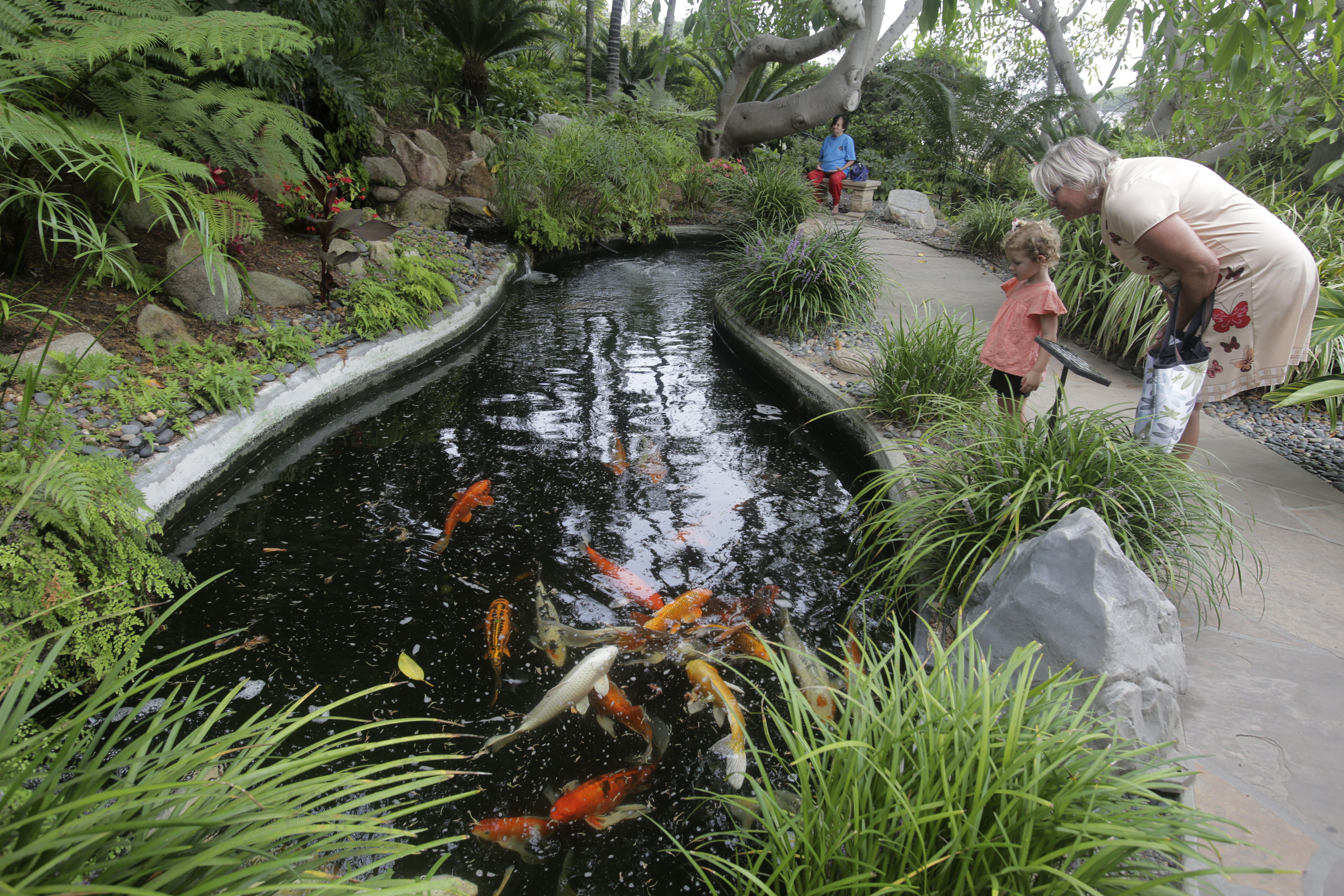 In Encinitas, nature's beauty feeds the soul at Self-Realization Fellowship Meditation Gardens - Vimarsana News