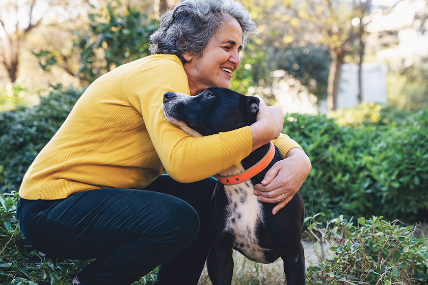 Are our dogs and cats flying under the bird flu radar? - Vimarsana News