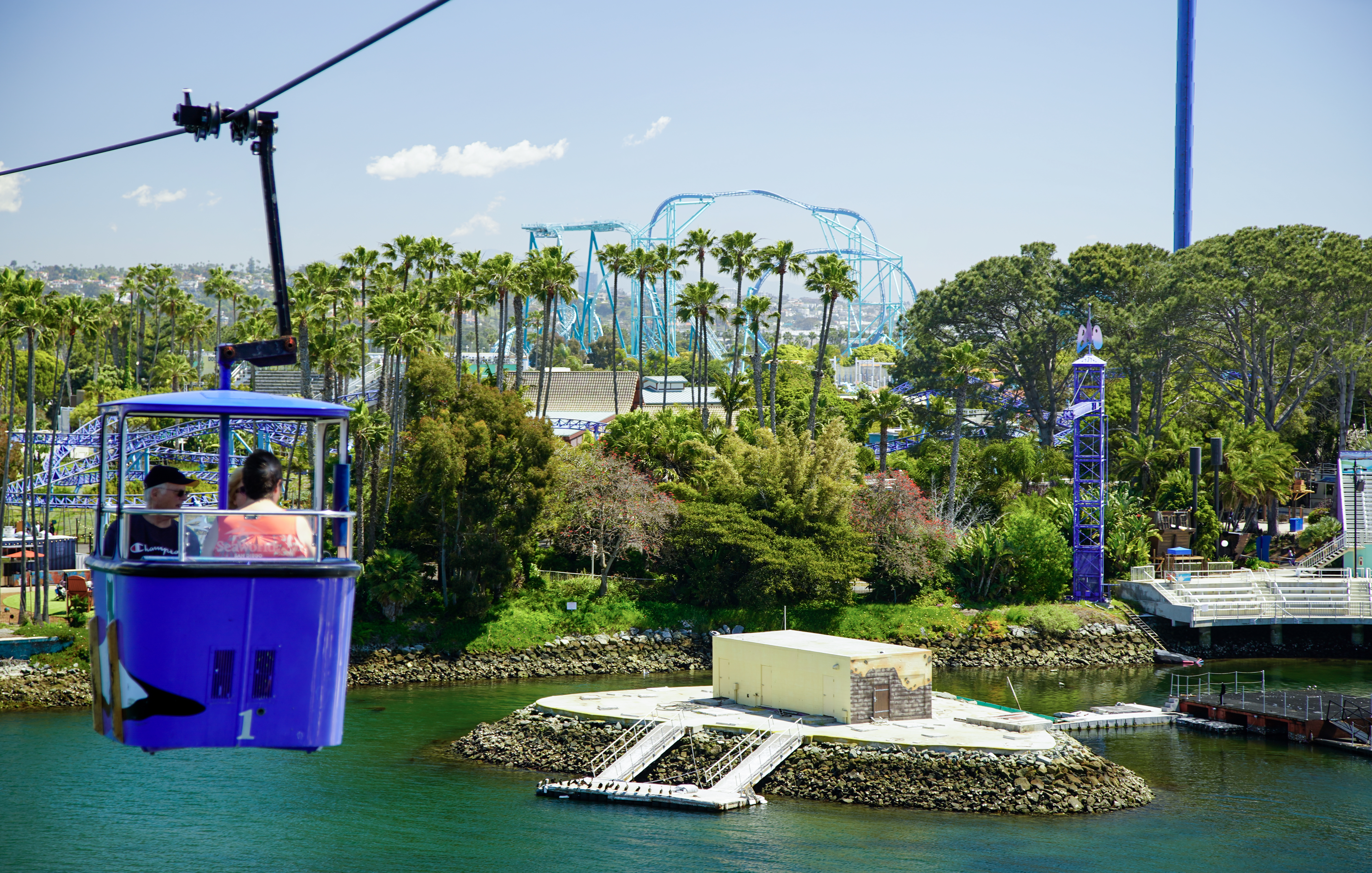 SeaWorld San Diego at 60: It survived 'Blackfish" and COVID. So what's next? - Vimarsana News