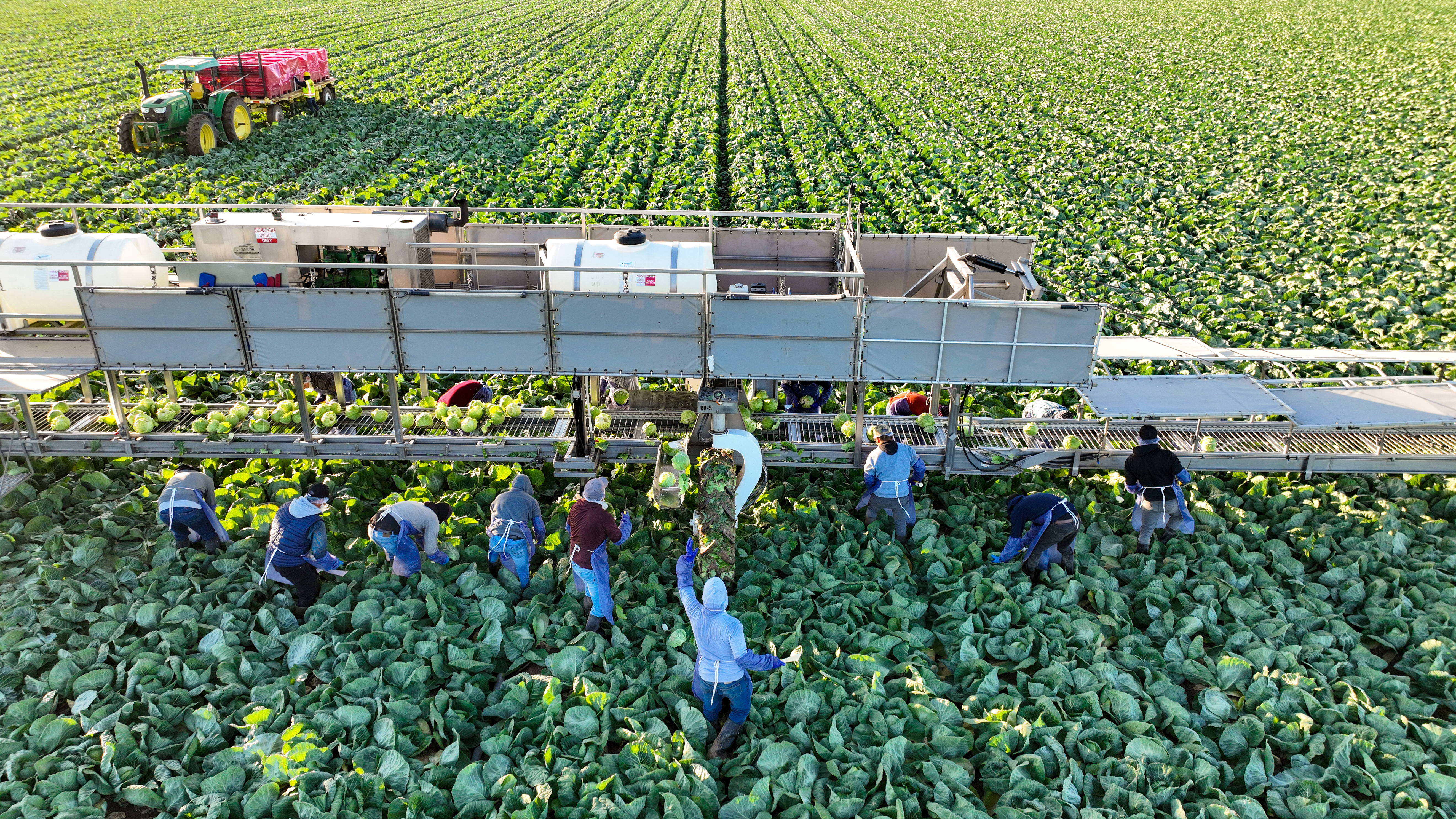 Colorado River's fate depends on these California farmers - Vimarsana News