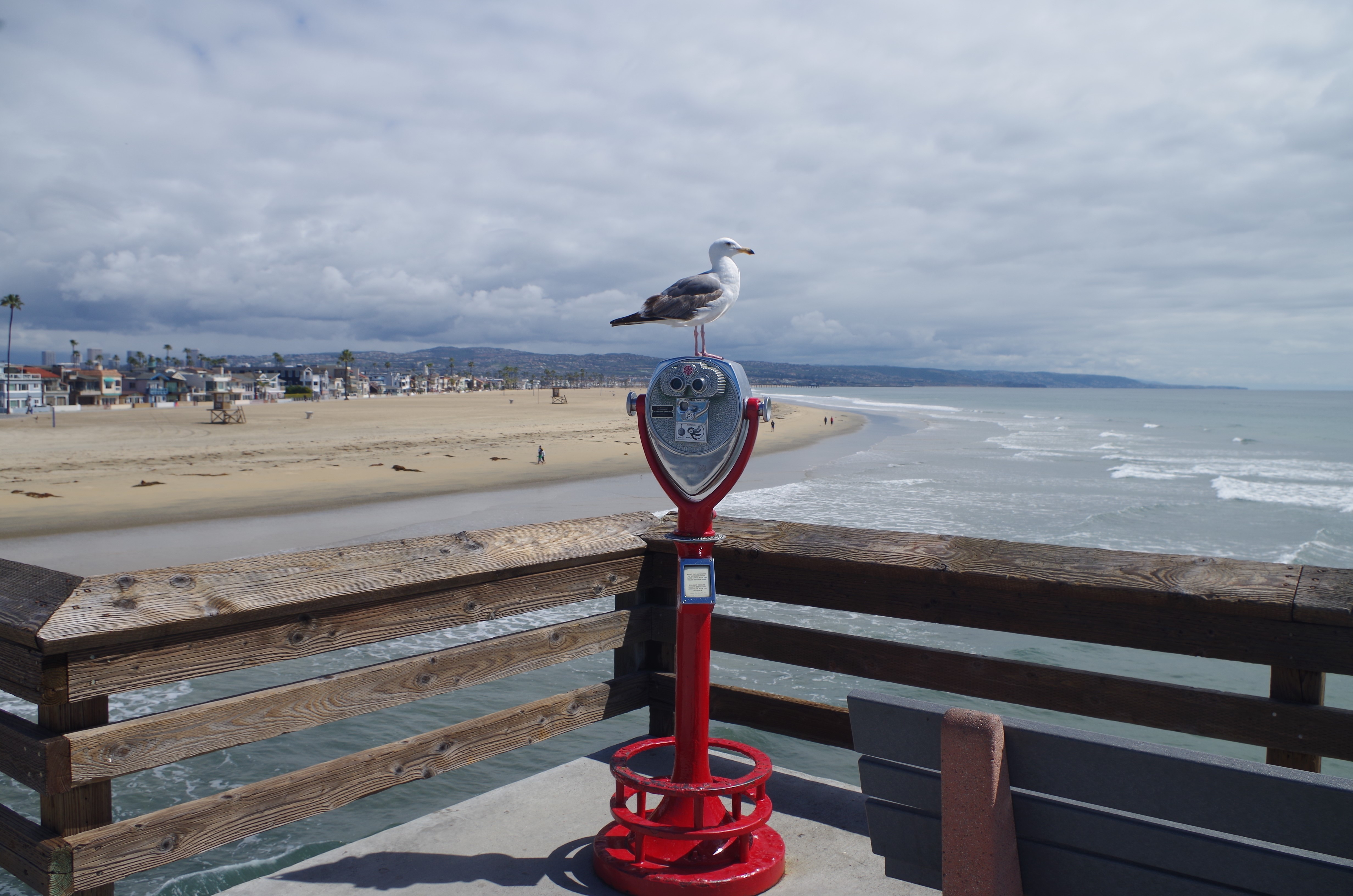 Authorities identify man killed near Newport Pier on Saturday - Vimarsana News