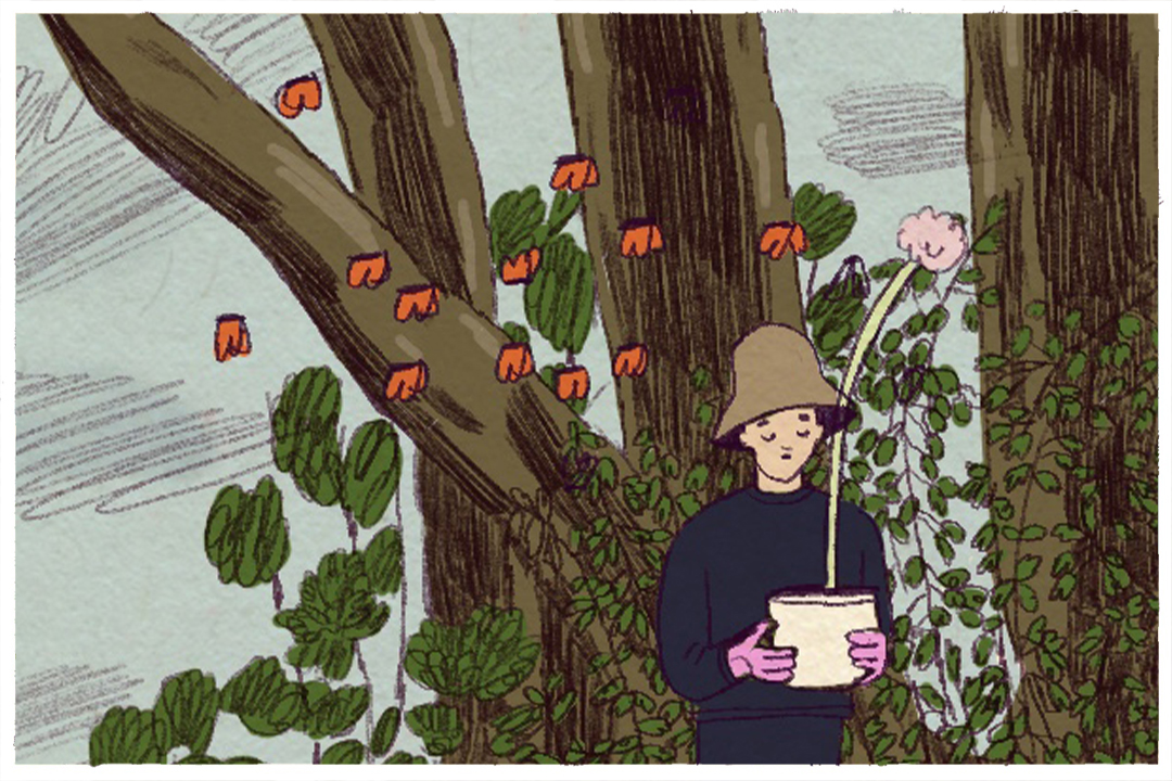 3 Good Things: Reassuring the anxious, city flowers and benches - Vimarsana News