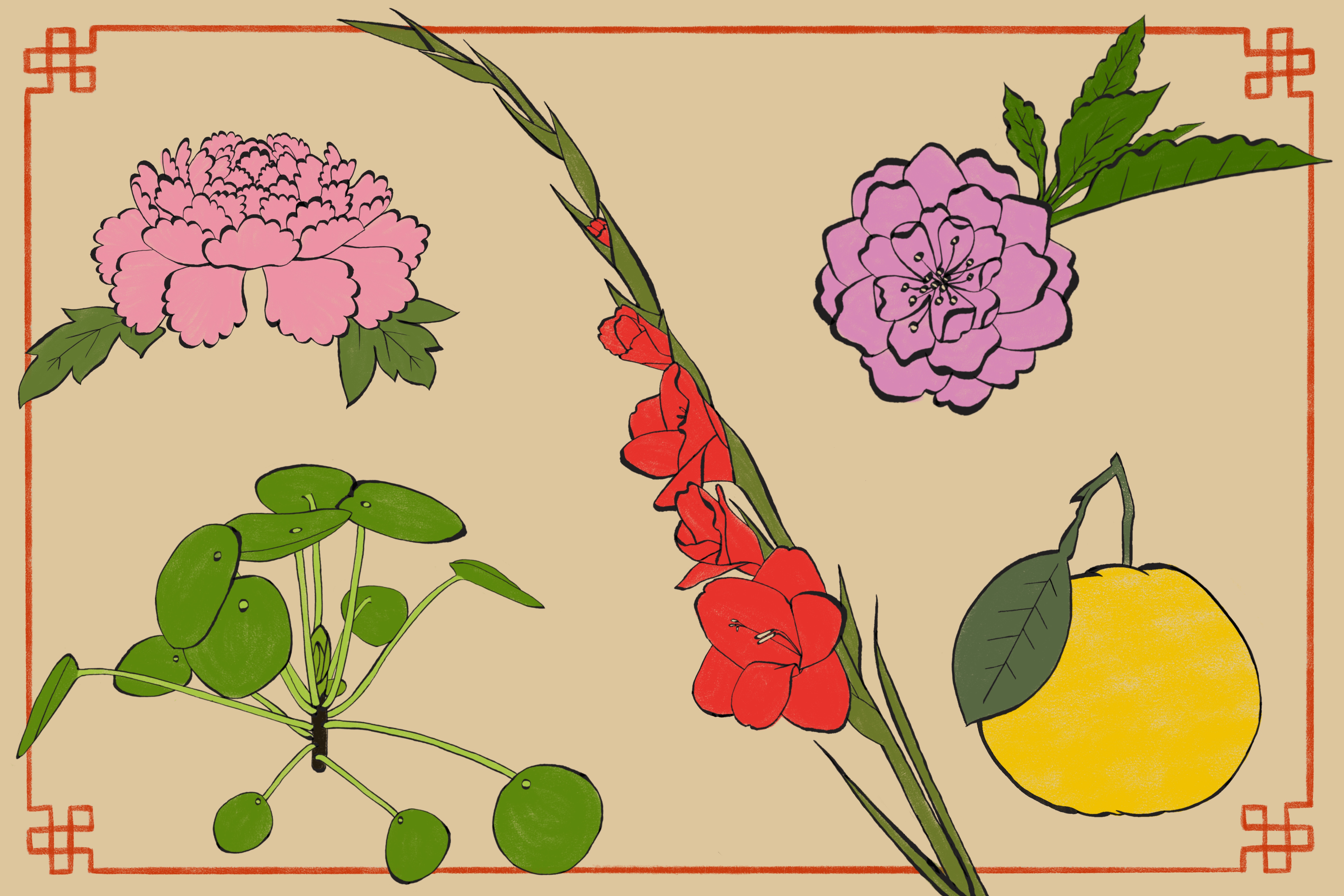 Comic: Welcome Lunar New Year with these 9 plants - Vimarsana News