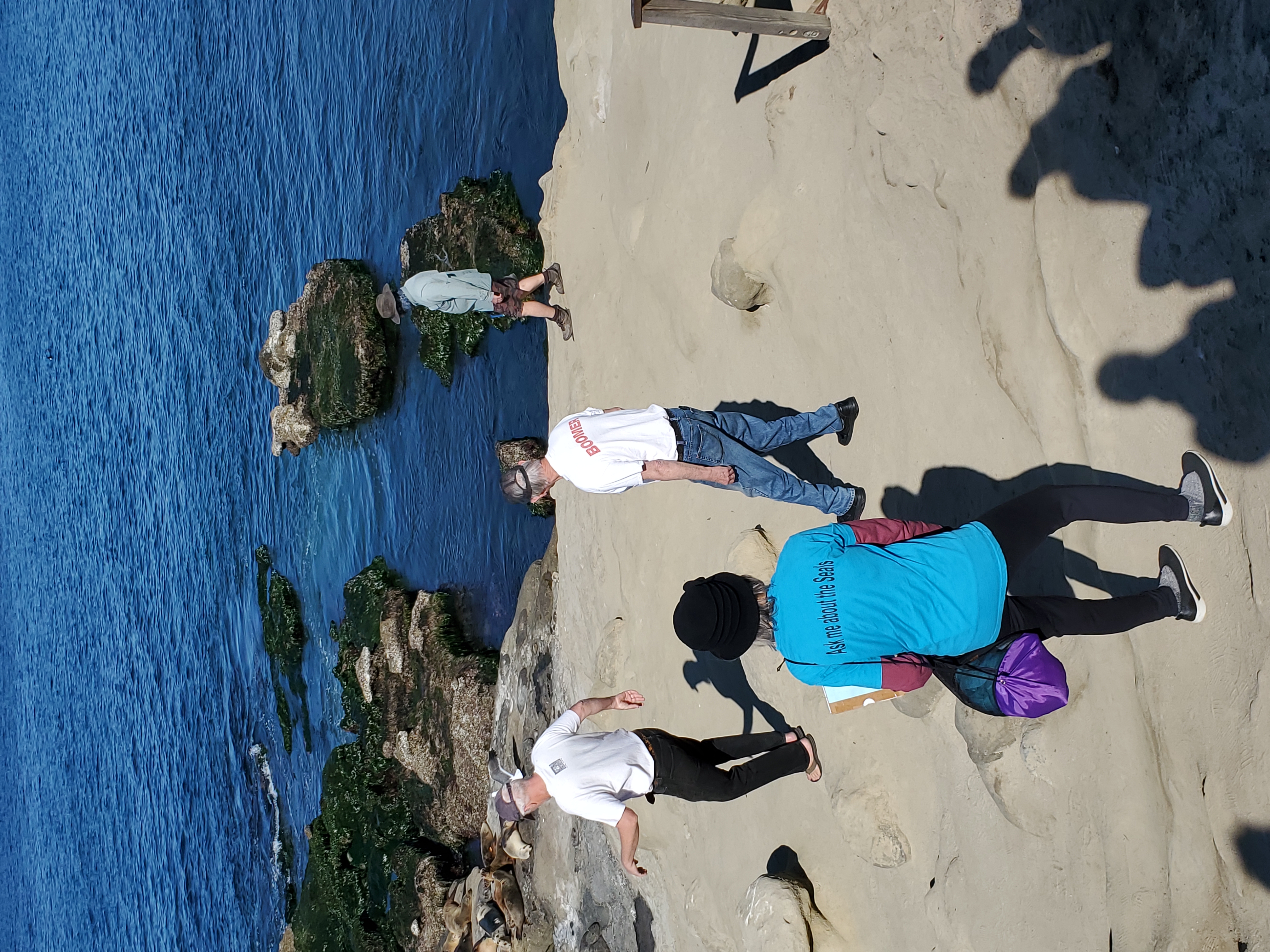 Point La Jolla docents accused of yelling, grabbing and other 'incivility' - Vimarsana News