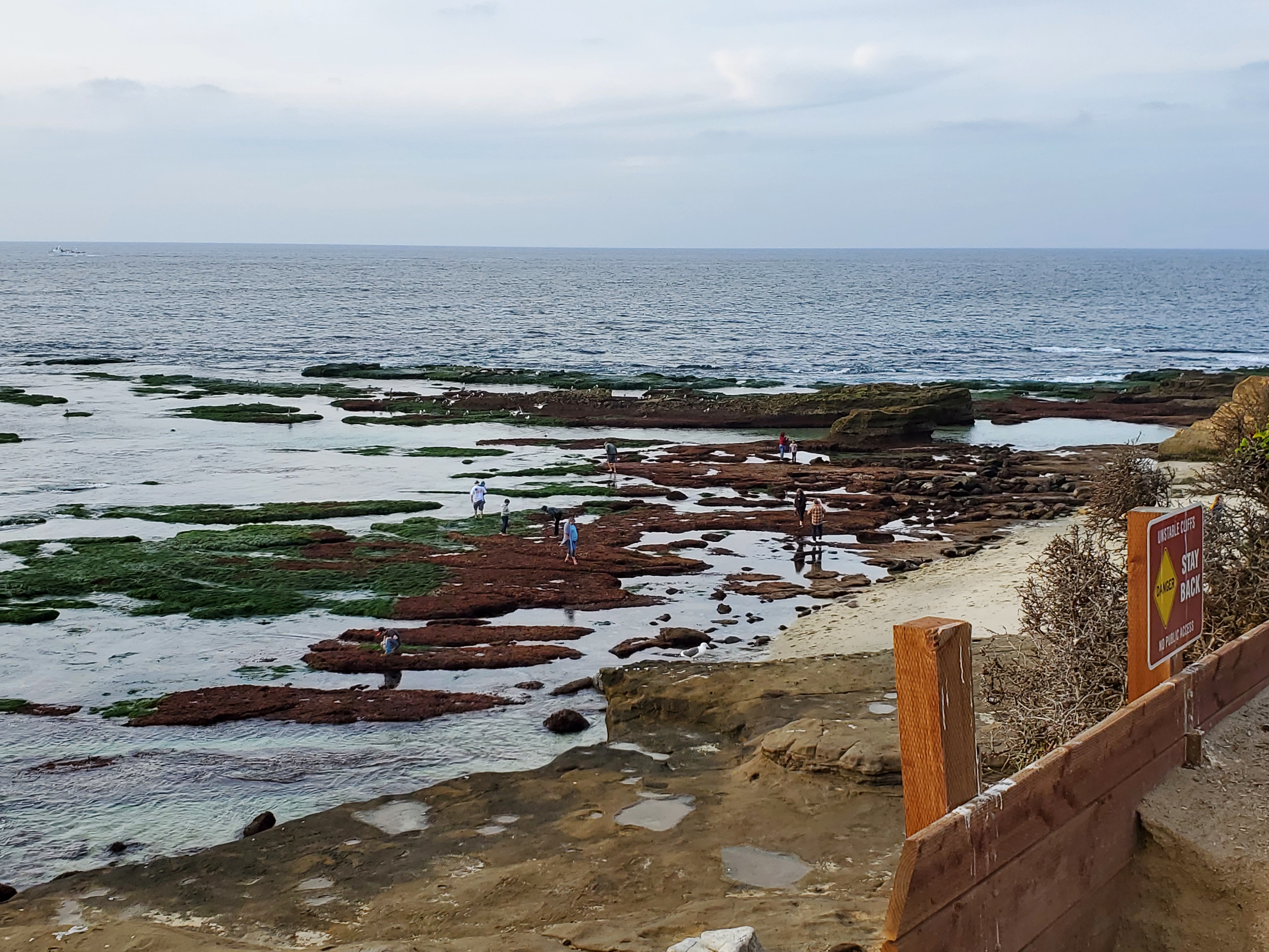Seeing the seashore: Historical Society walking tour explores La Jolla's 'very important' coastline - Vimarsana News