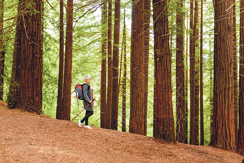 Here Are 4 Easy Hikes For Seniors In Southern California - Vimarsana News