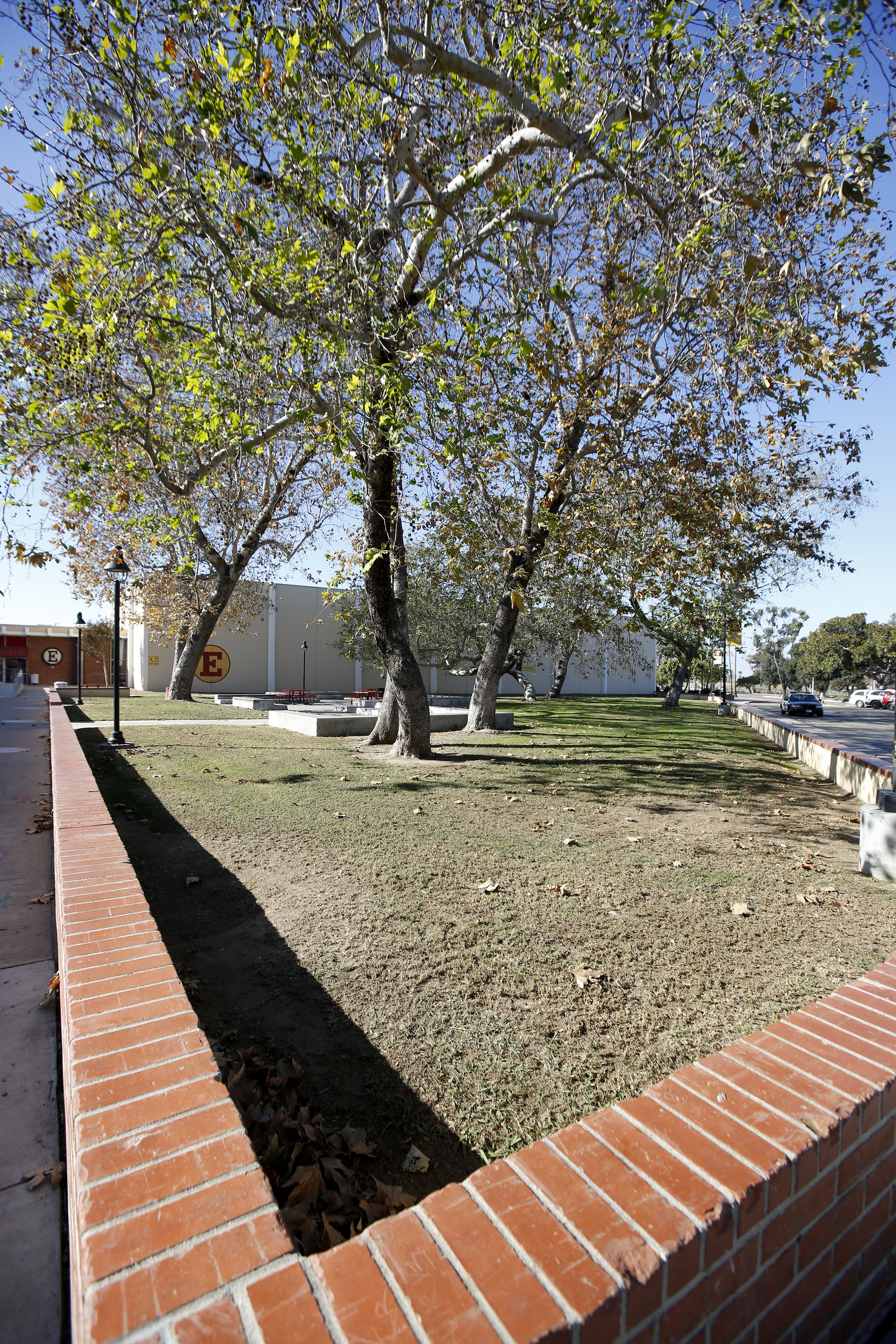 Mailbag: Estancia theater project's cost, advantages draw readers' attention - Vimarsana News
