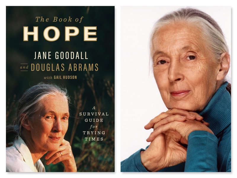 Jane Goodall on surviving trying times - Vimarsana News