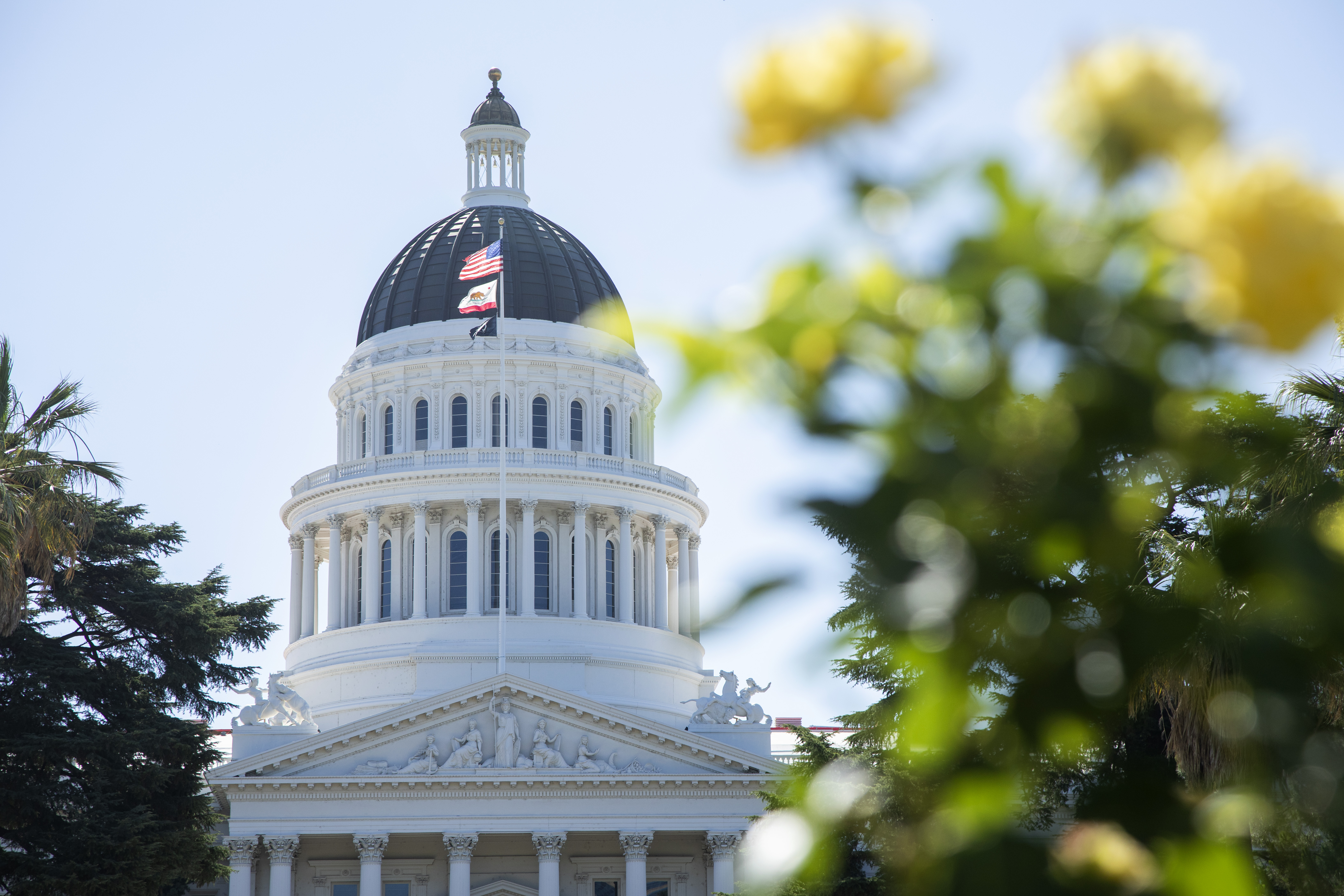 Republicans won the House. For climate action, look to cities and states - Vimarsana News