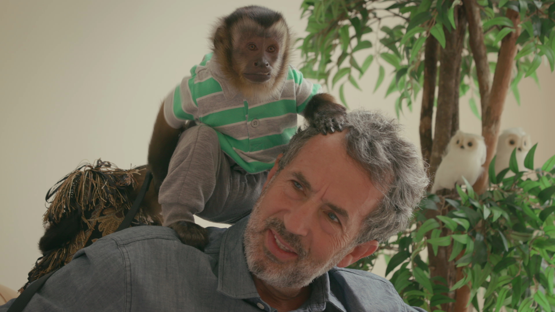 'Chimp Crazy' is a disturbing docuseries that argues against the ownership of primates