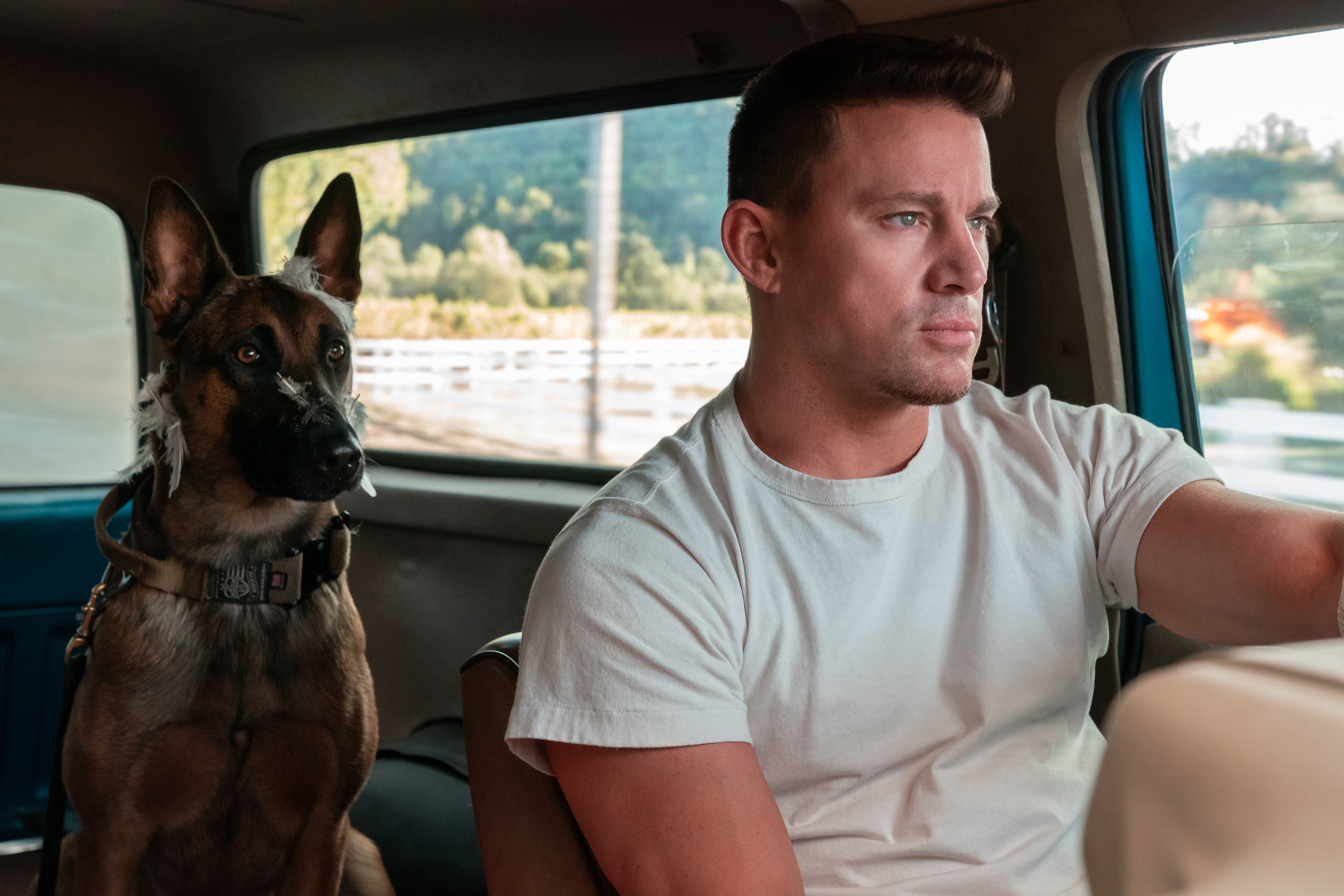'Dog' review: Channing Tatum's playful directorial debut - The San Diego Union-Tribune - Vimarsana News