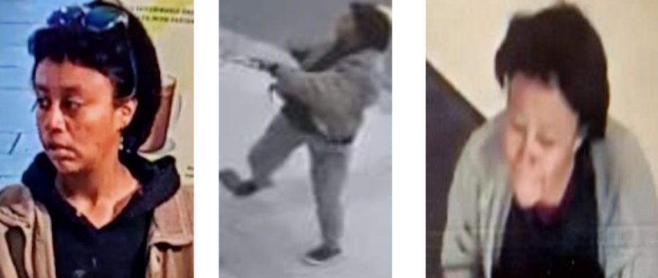 L.A. woman is arrested a second time this year in attempted kidnapping - Vimarsana News