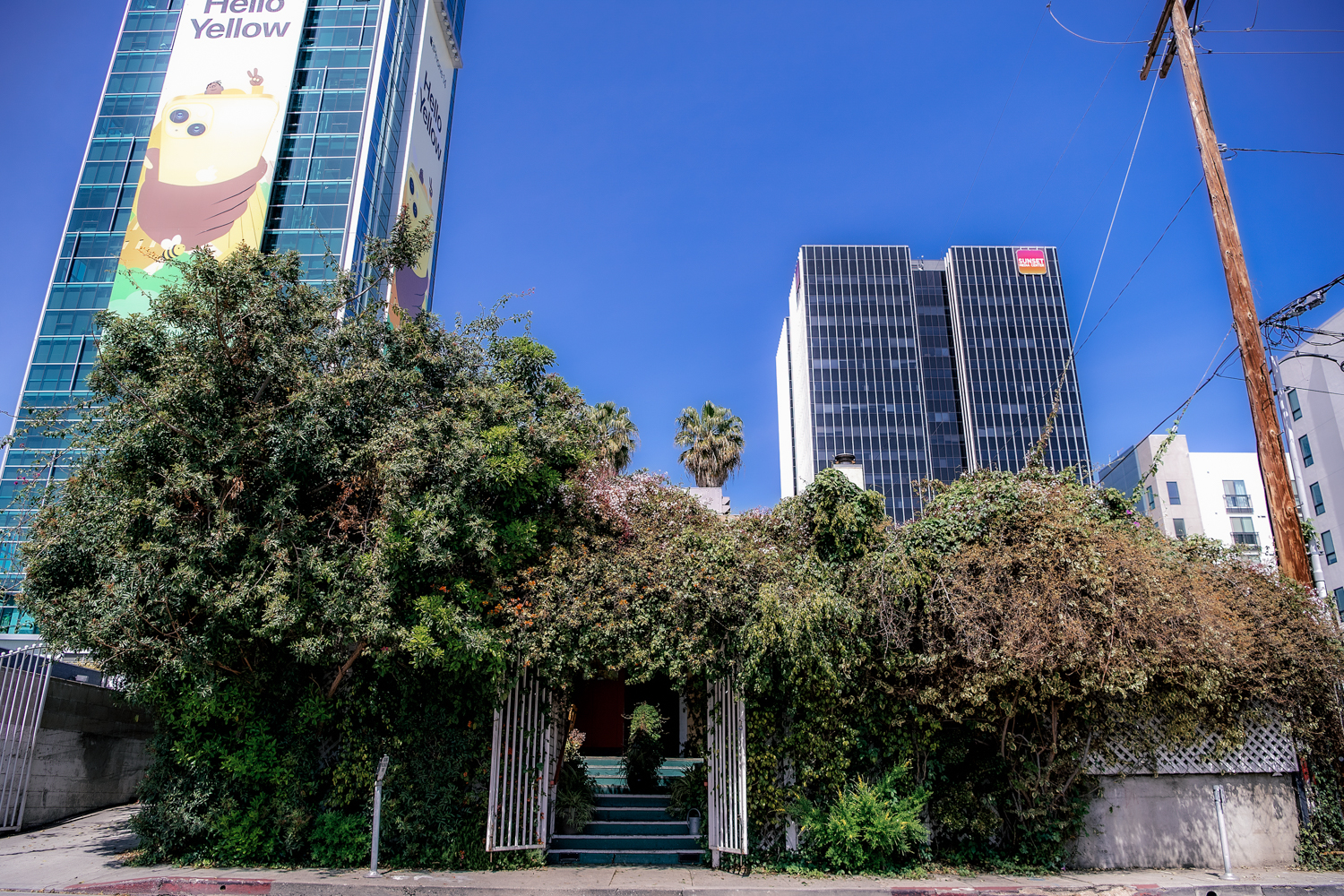 Journalism icon Linda Deutsch on loss of Hollywood clubhouse - Vimarsana News