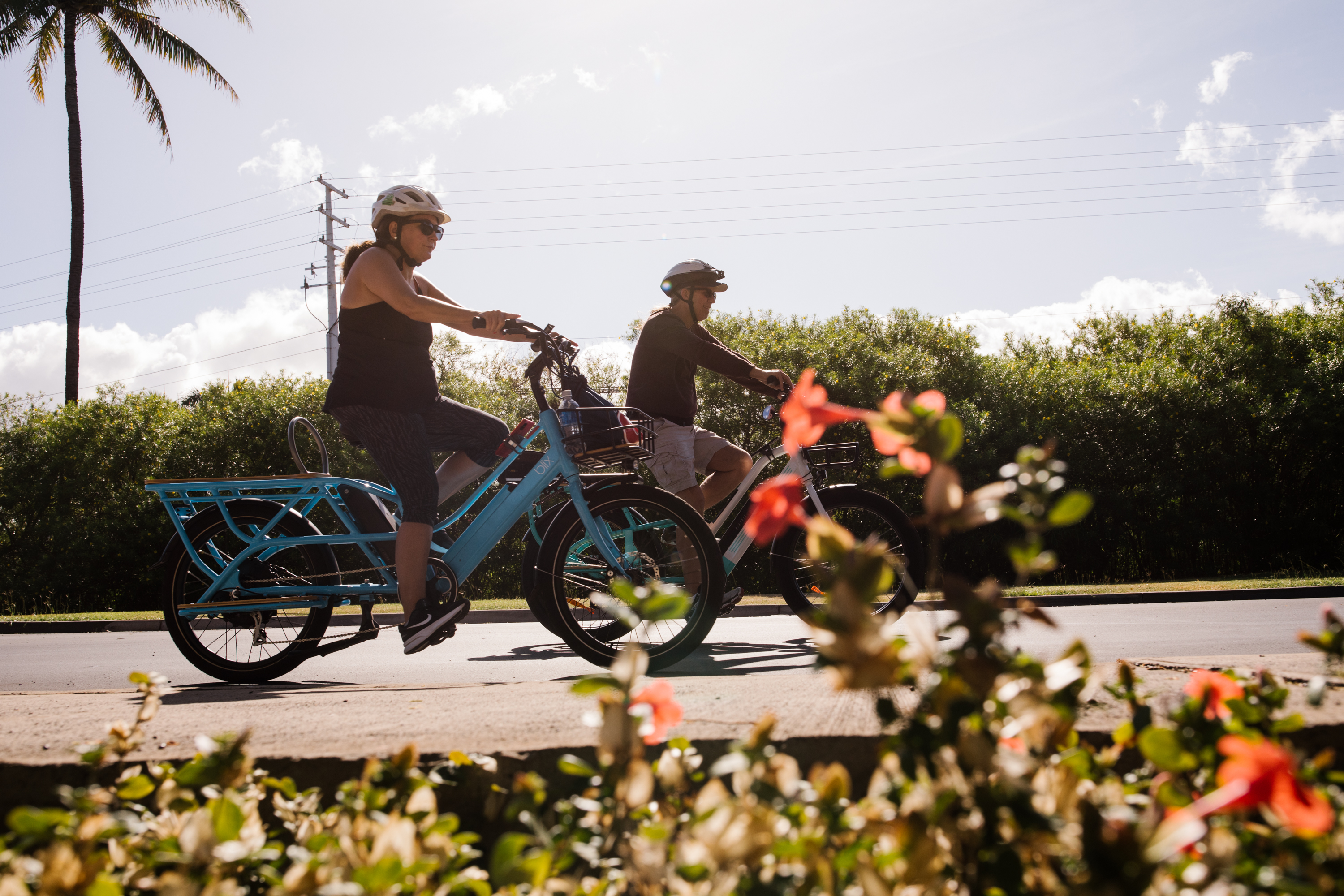 Opinion: Electric vehicles, from e-bikes to pedicabs, are more than just a nuisance - Vimarsana News