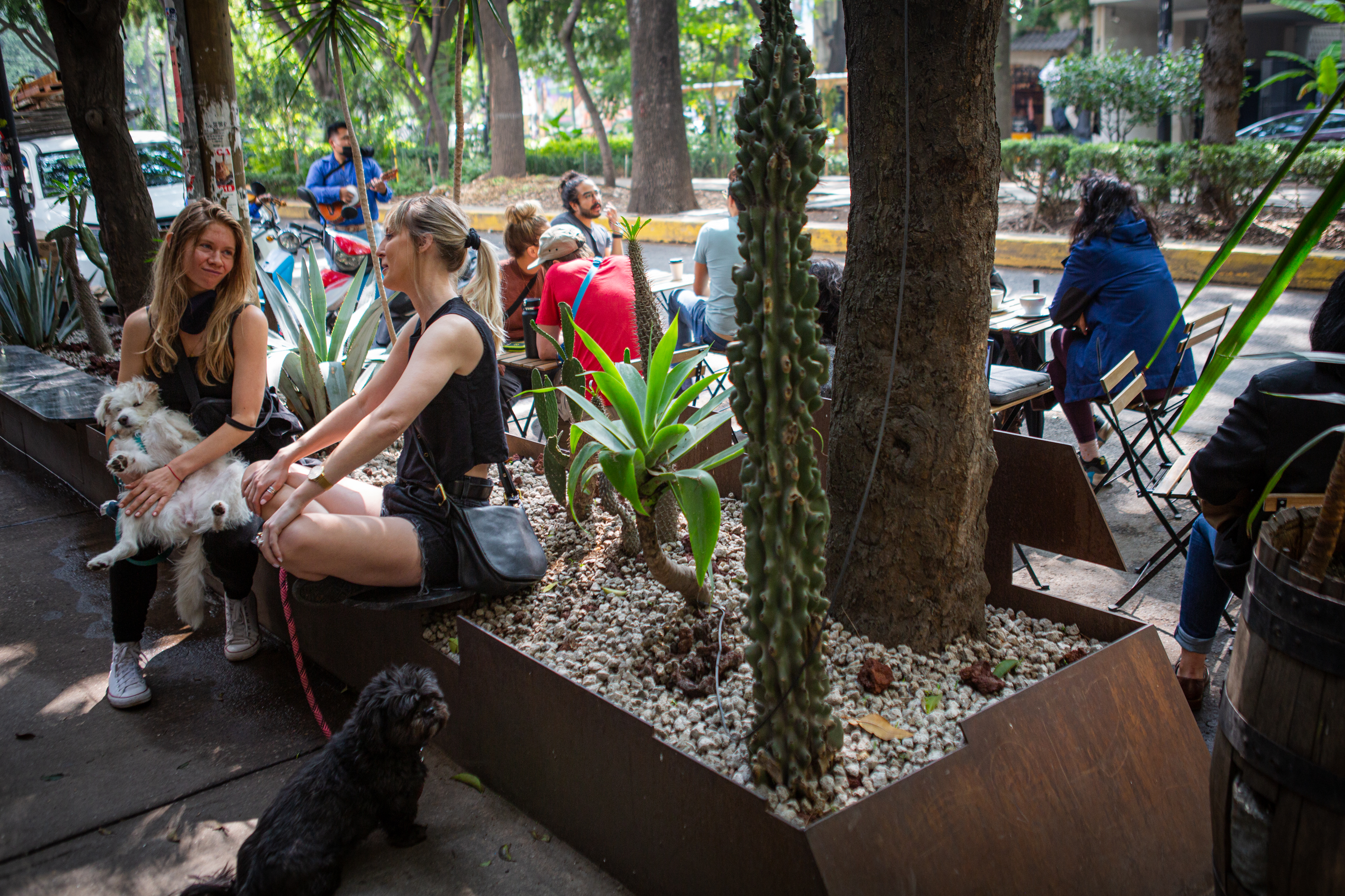 Americans are flooding Mexico City. Some want them gone - Vimarsana News
