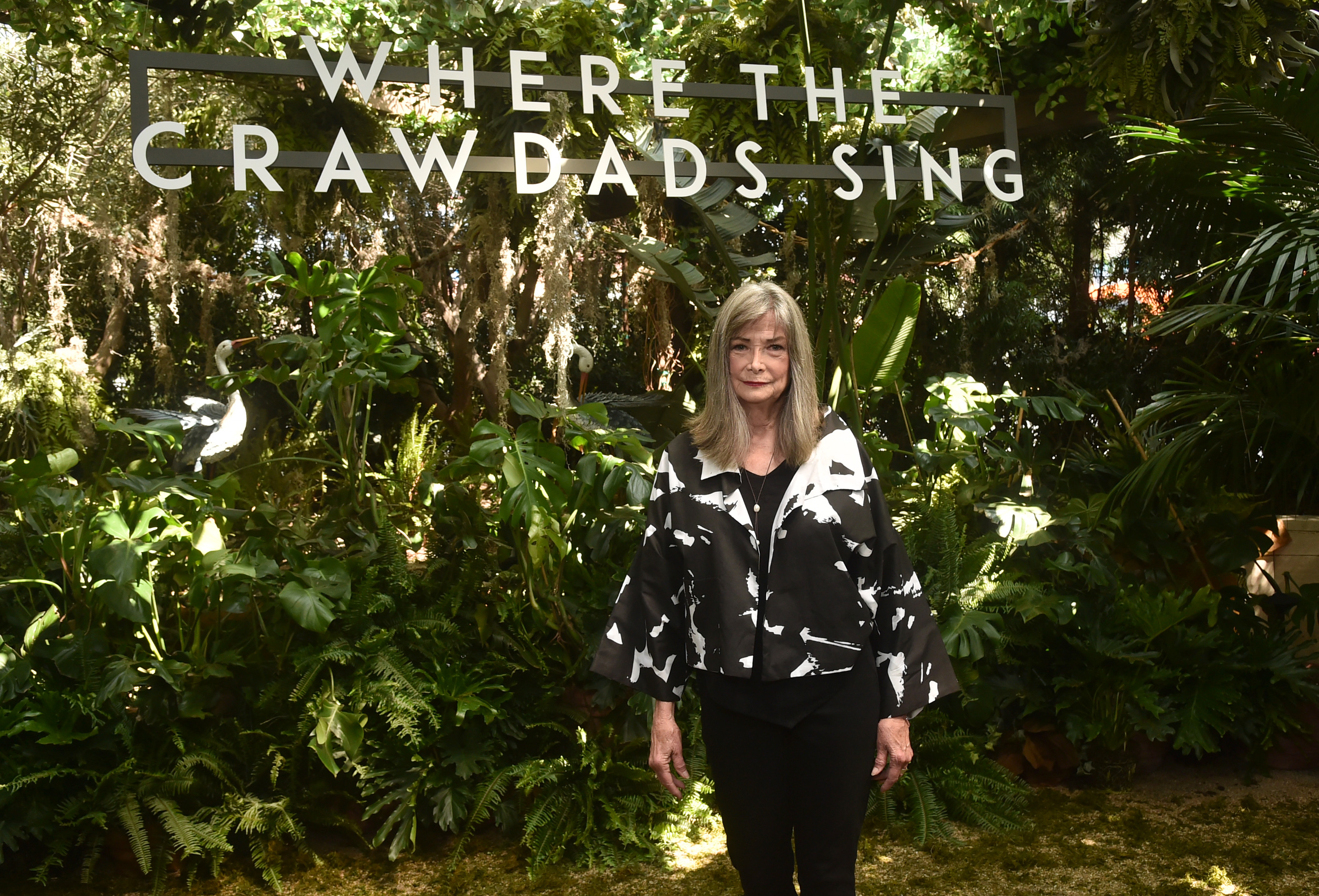 'Where the Crawdads Sing' author involved in murder case - Vimarsana News