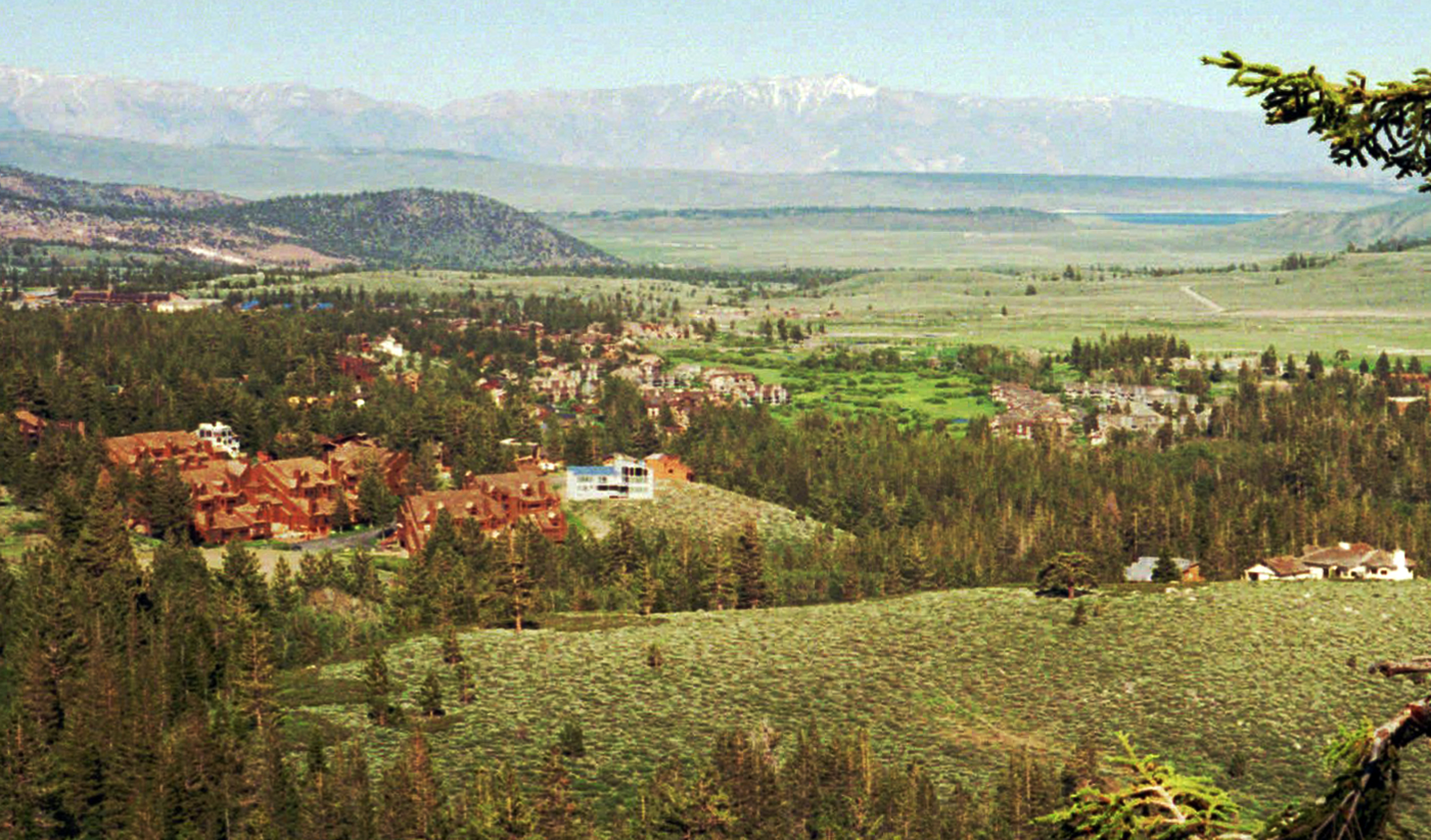 Op-Ed: A volcano near Mammoth Lakes didn't erupt in 1982 — but the town did - Vimarsana News