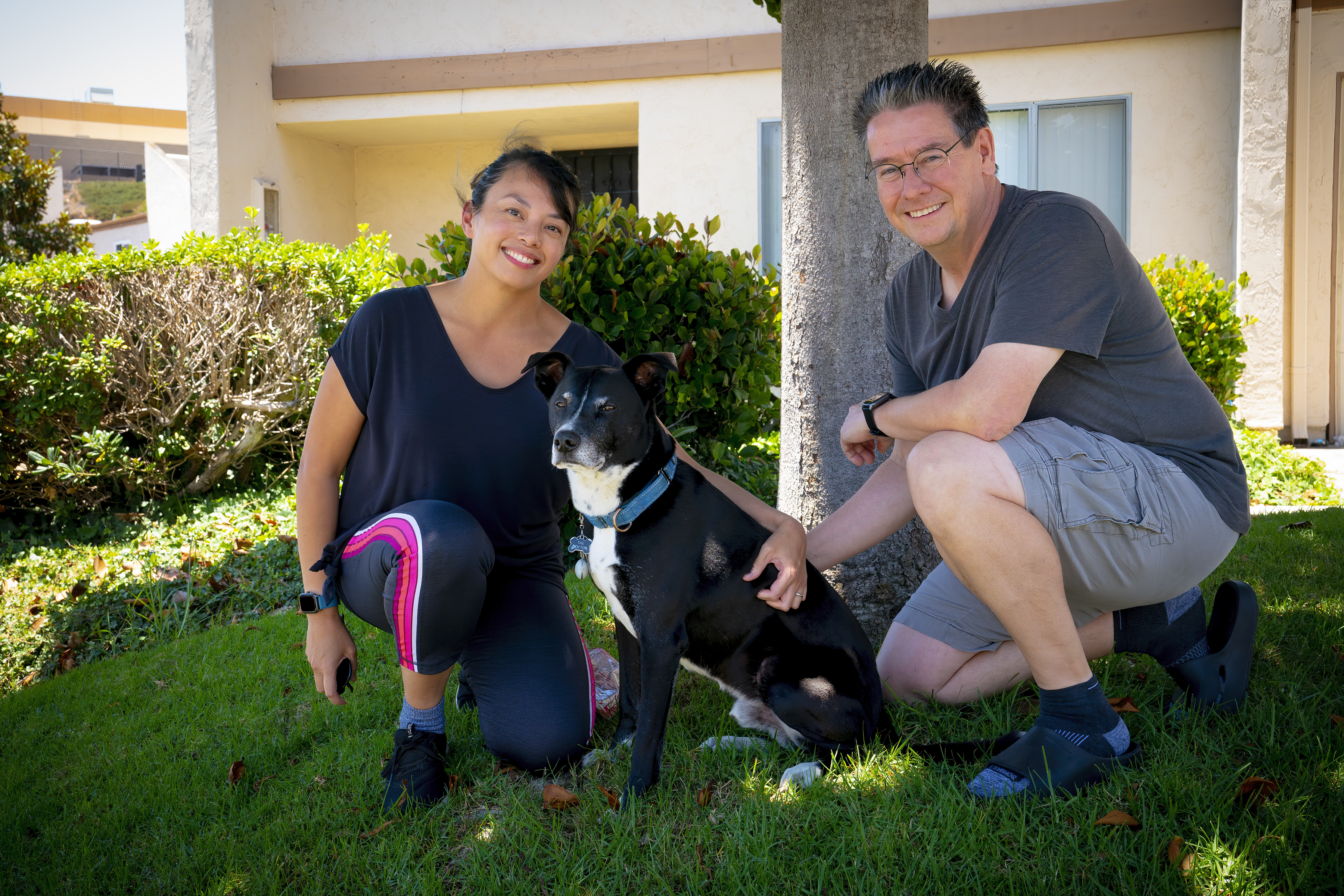 Column: How a lost-dog nightmare inspired a San Diego couple to write a graphic novel - Vimarsana News