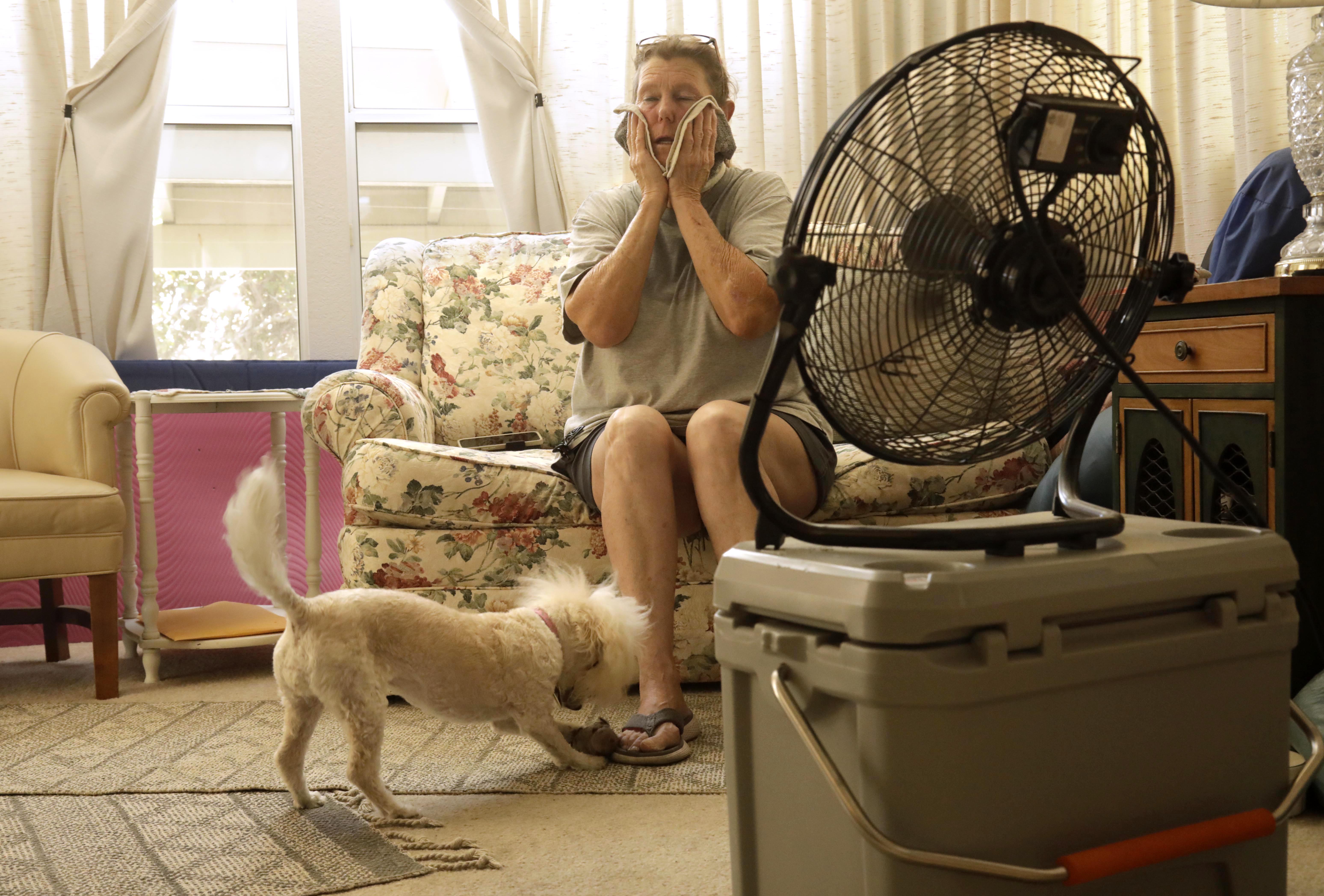 How to get DWP rebates for air conditioners - Los Angeles Times - Vimarsana News