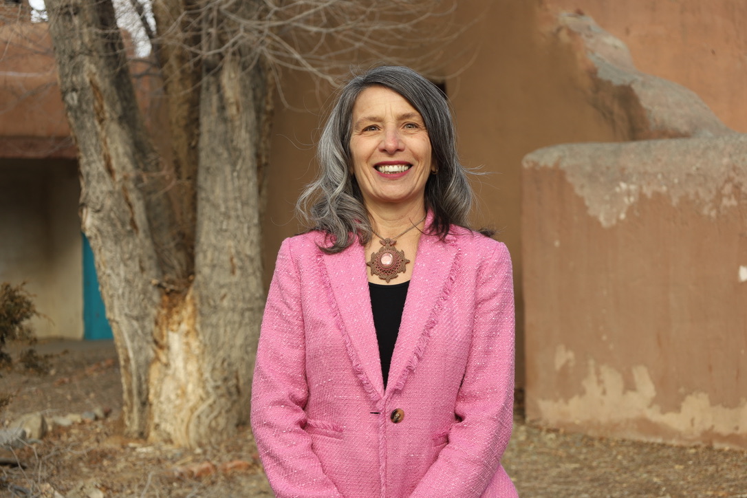 UNLV's Black Mountain Institute names new leader - Vimarsana News